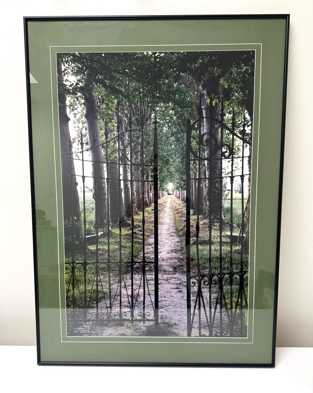 'Villa Verdi Sant'Agata Italy' Photograph