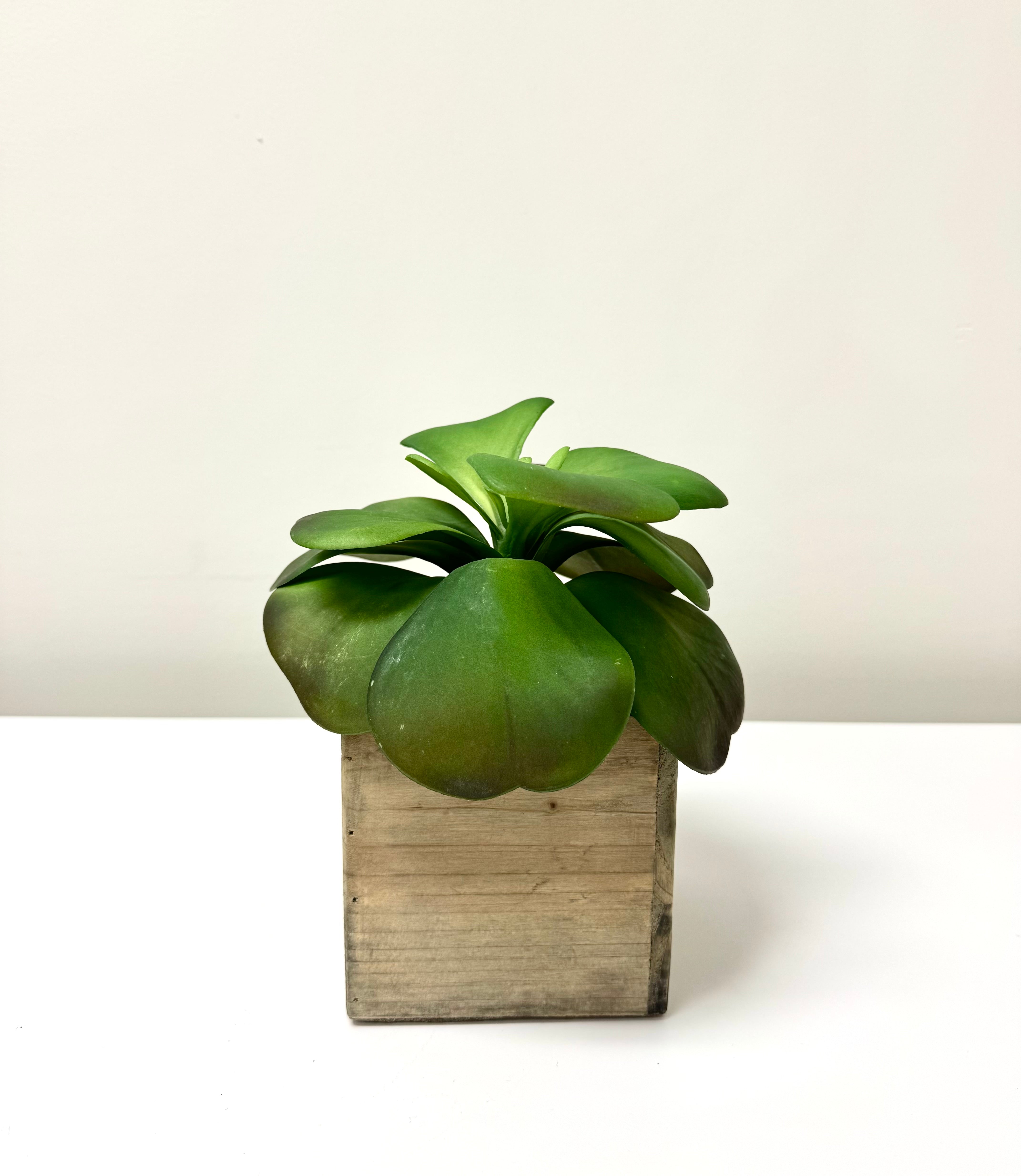 Faux Succulent in Wooden Box