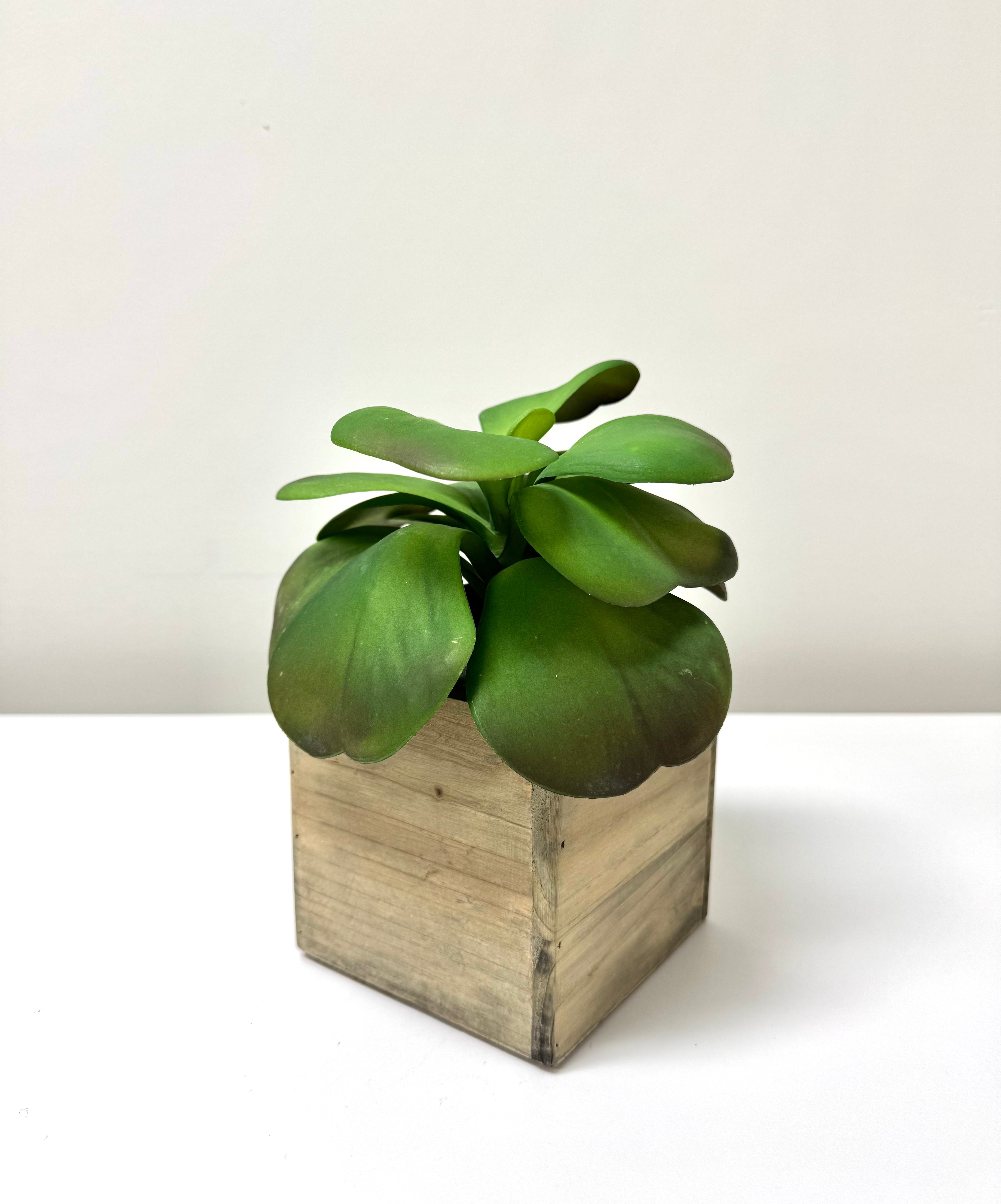 Faux Succulent in Wooden Box