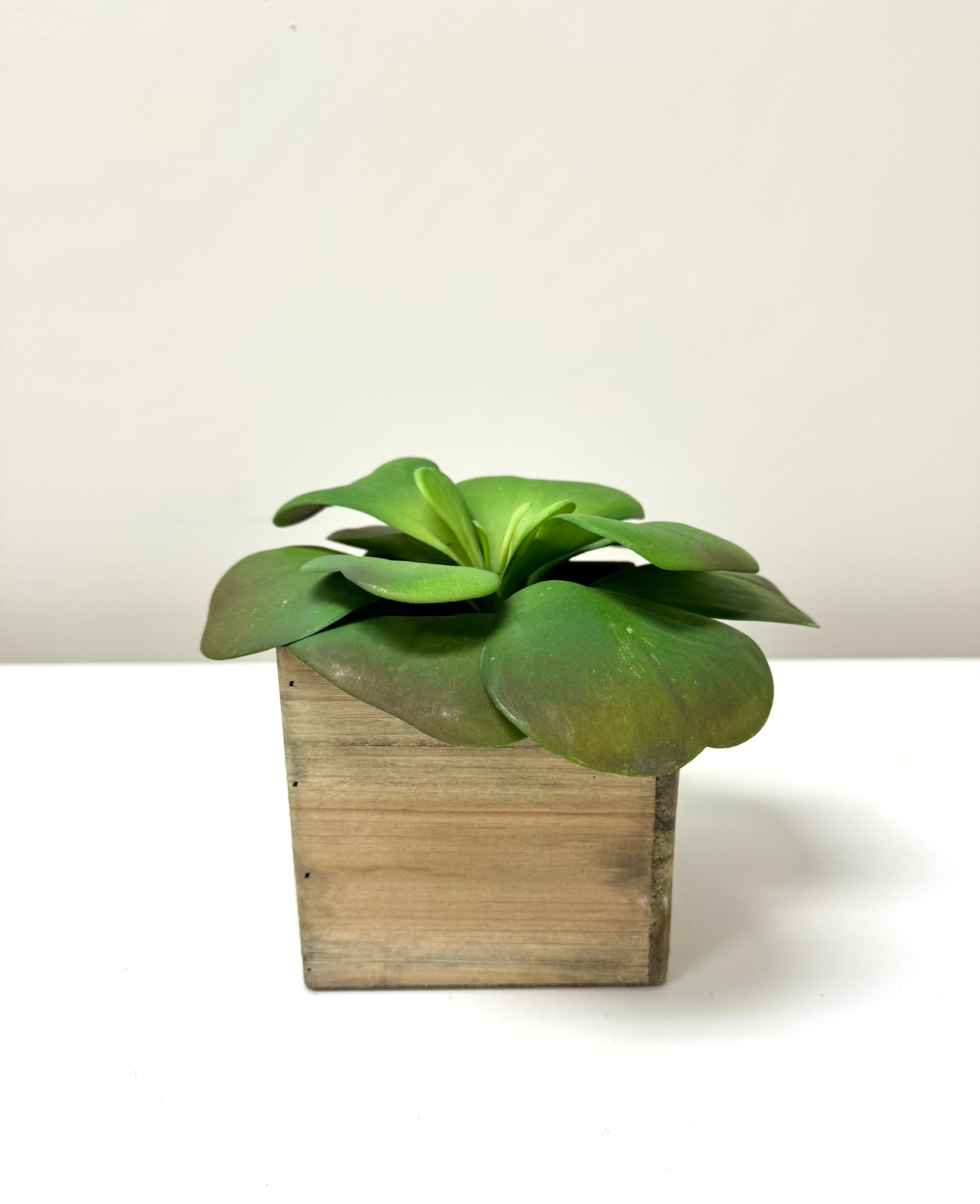 Faux Succulent in Wooden Box