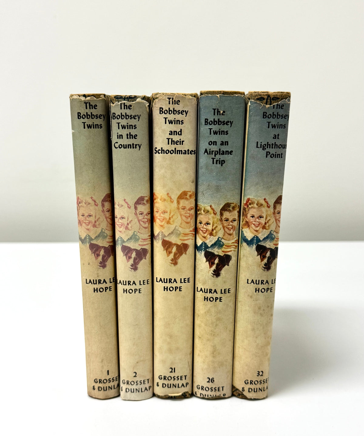 Vintage Bobsey Twins Book Bundle