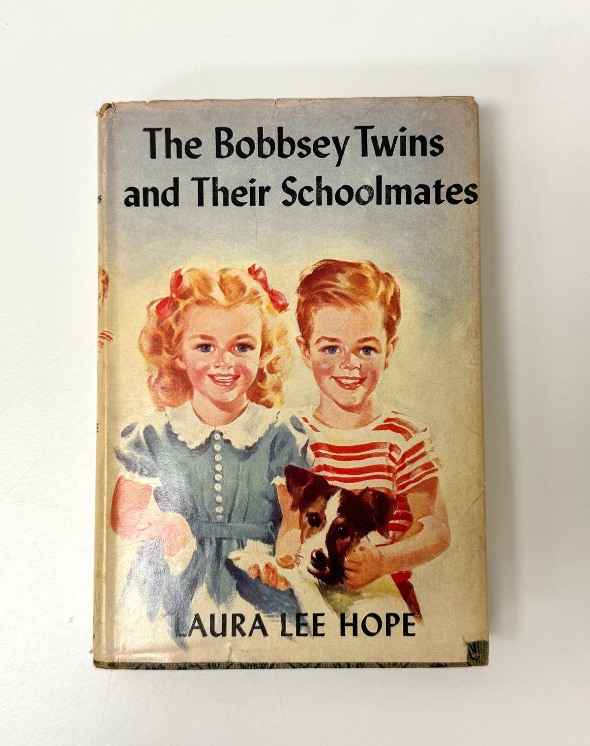Vintage Bobsey Twins Book Bundle