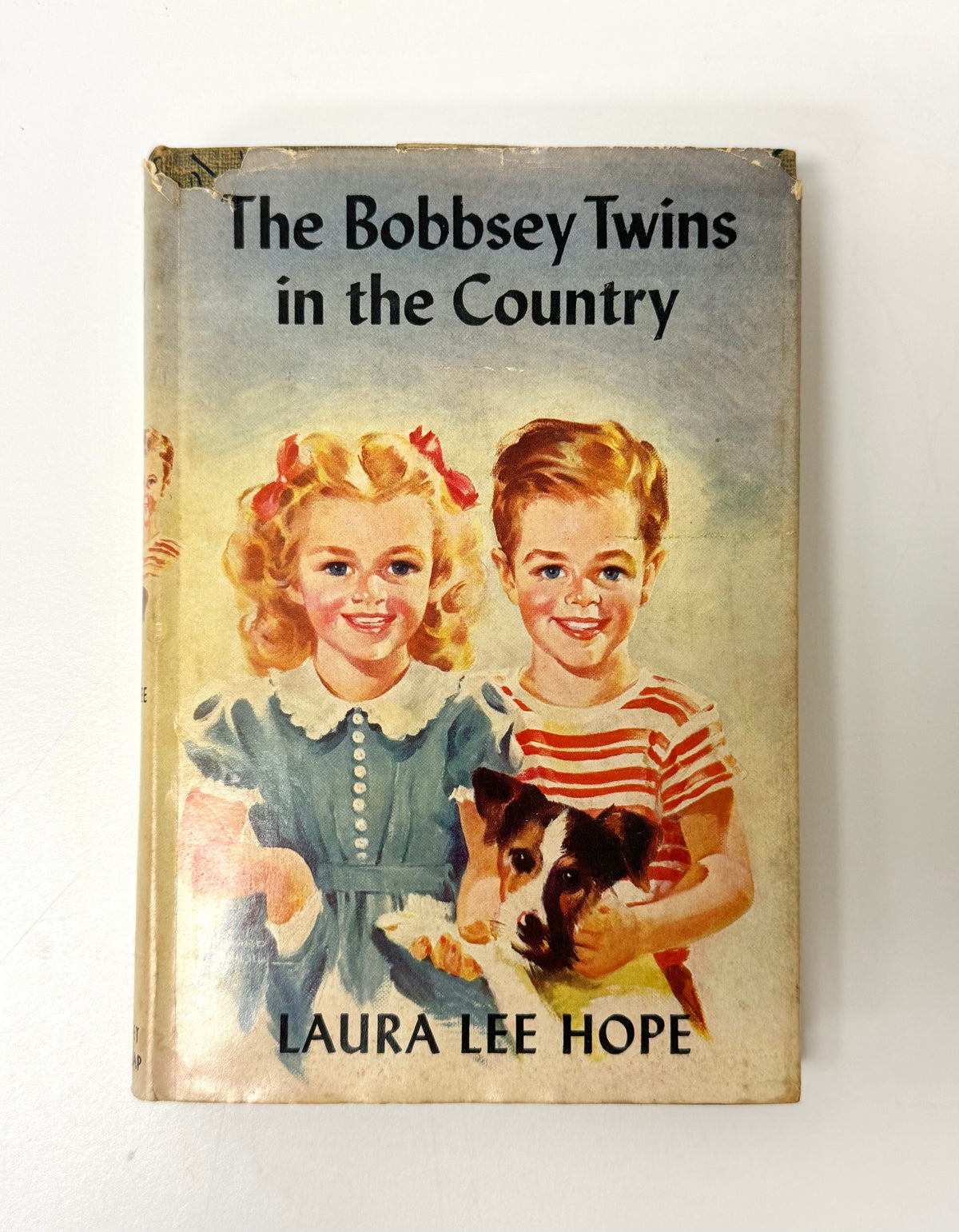 Vintage Bobsey Twins Book Bundle