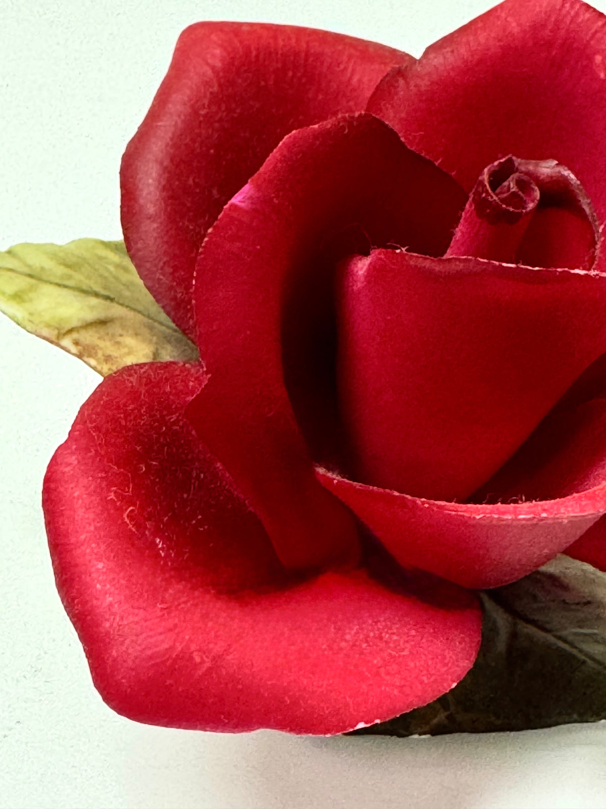 CAPODIMONTE Porcelain Red Rose