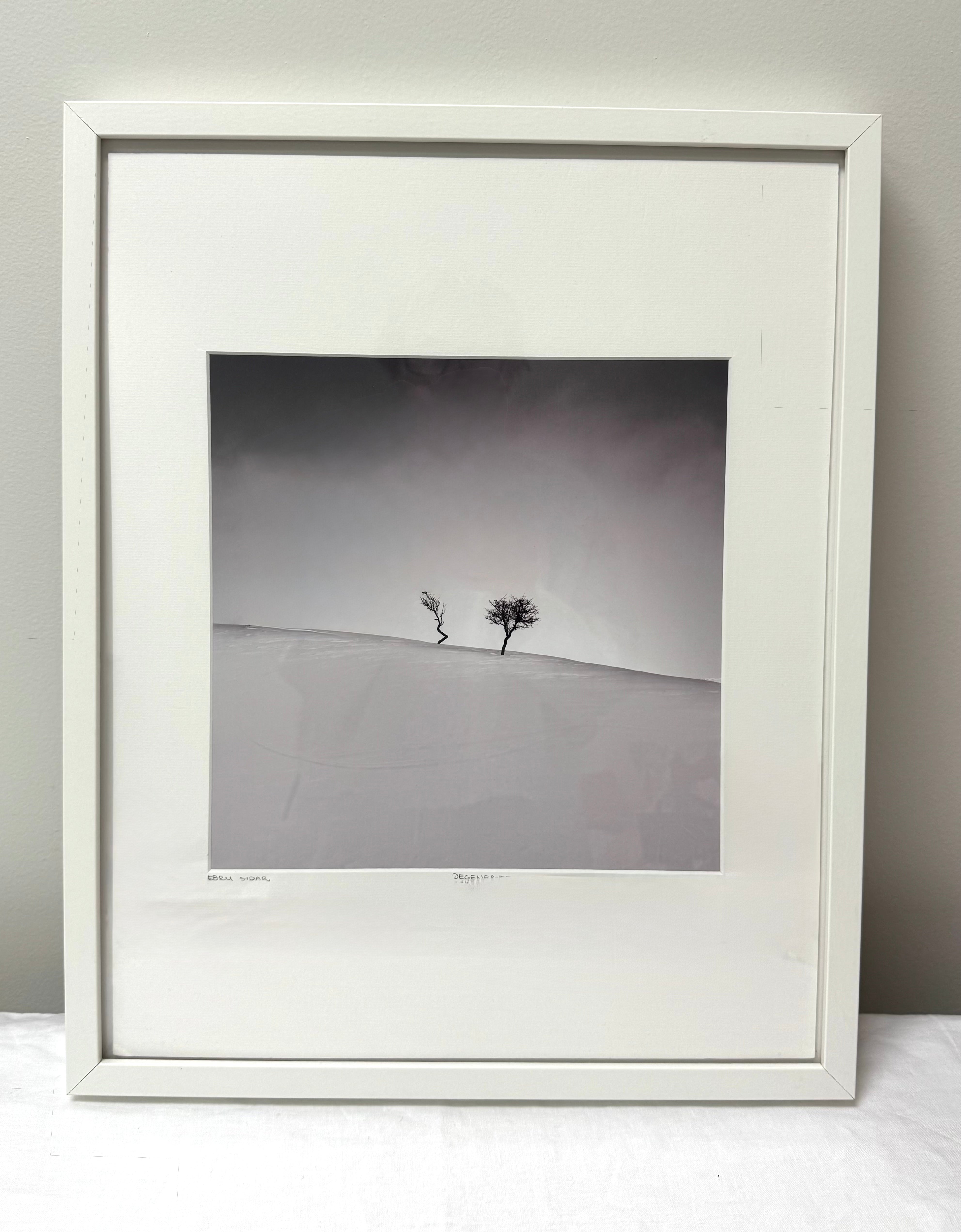 'Degenerate' Photography Print