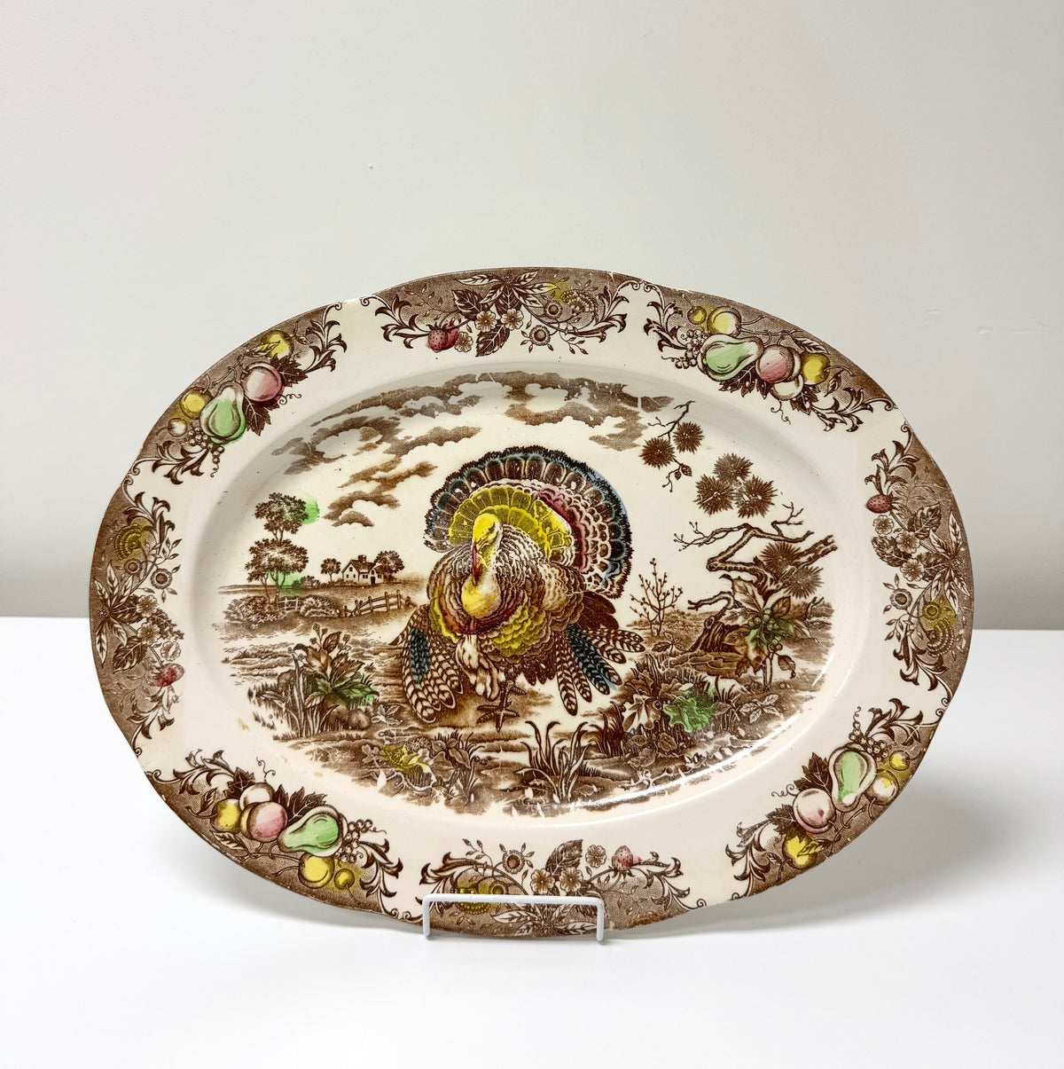 Vintage Turkey Platter