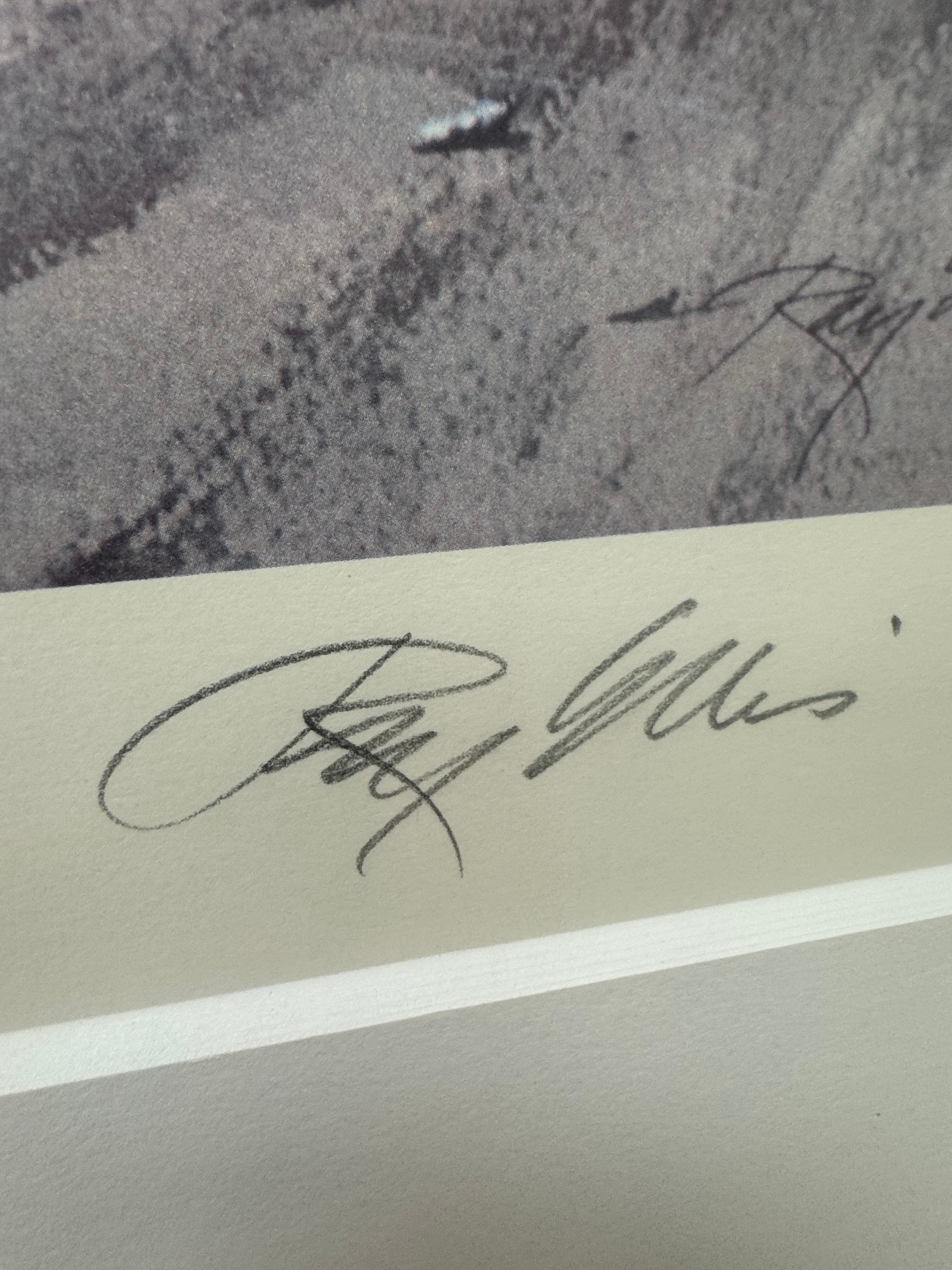 'Fields' Limited Edition Print