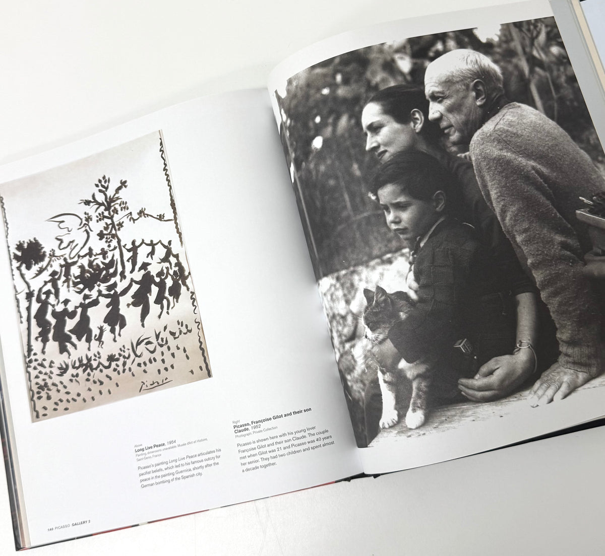 'Picasso's World' Hardcover