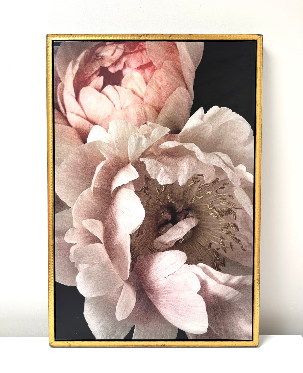 'Pink Peonies I' Canvas Art