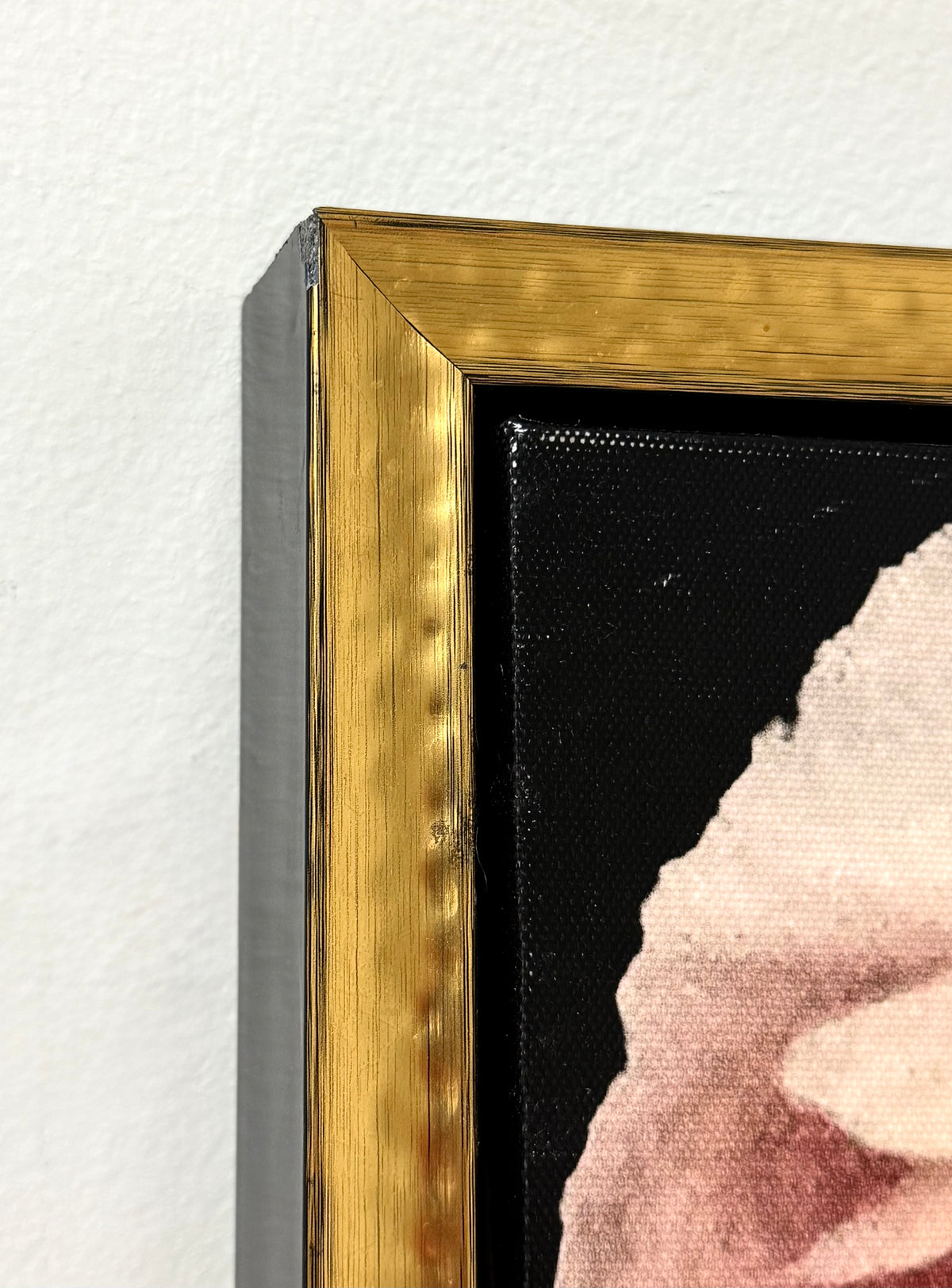 'Pink Peonies II' Canvas Art