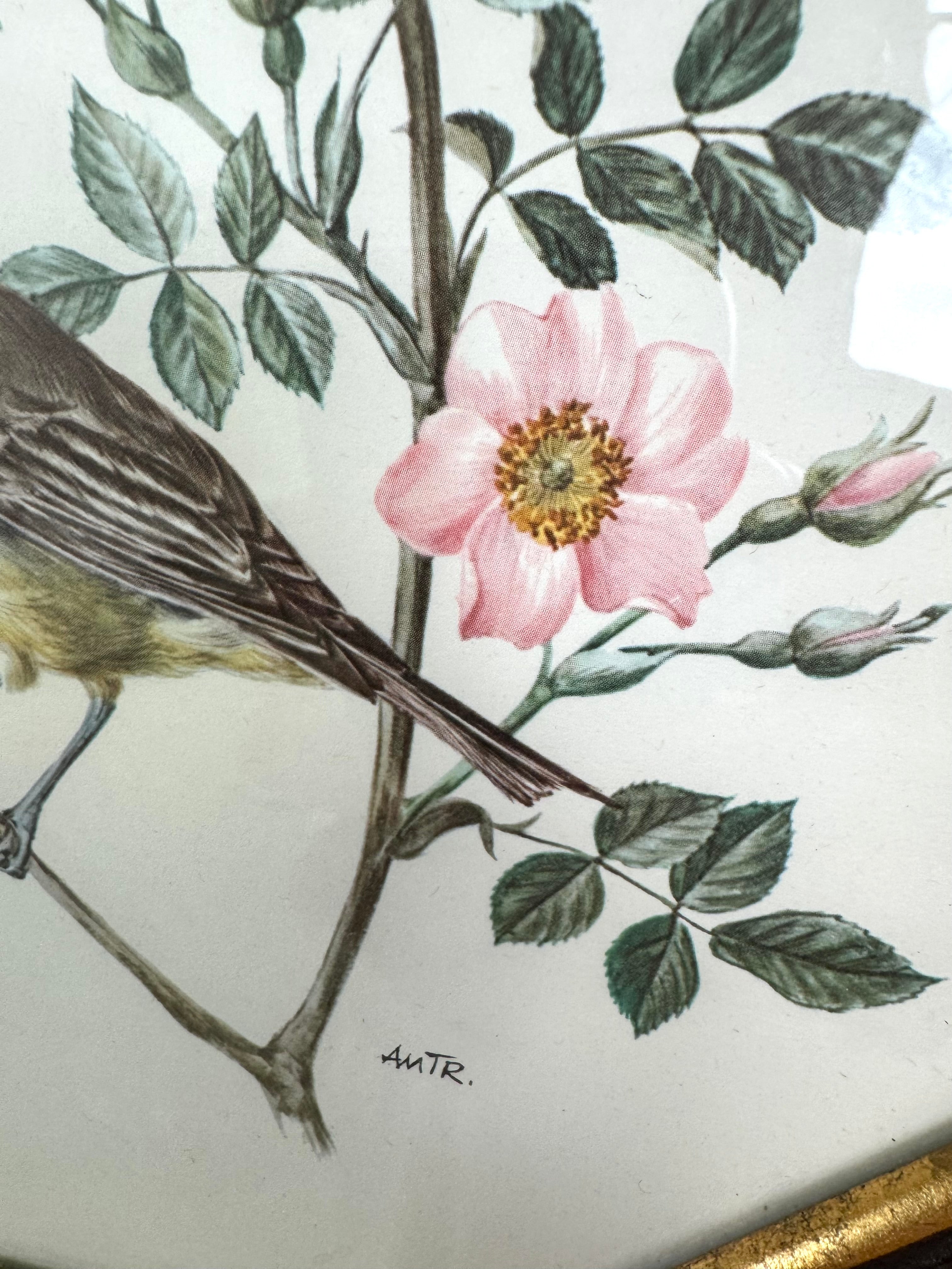 Vintage A. Marlin Warblers Bird Print