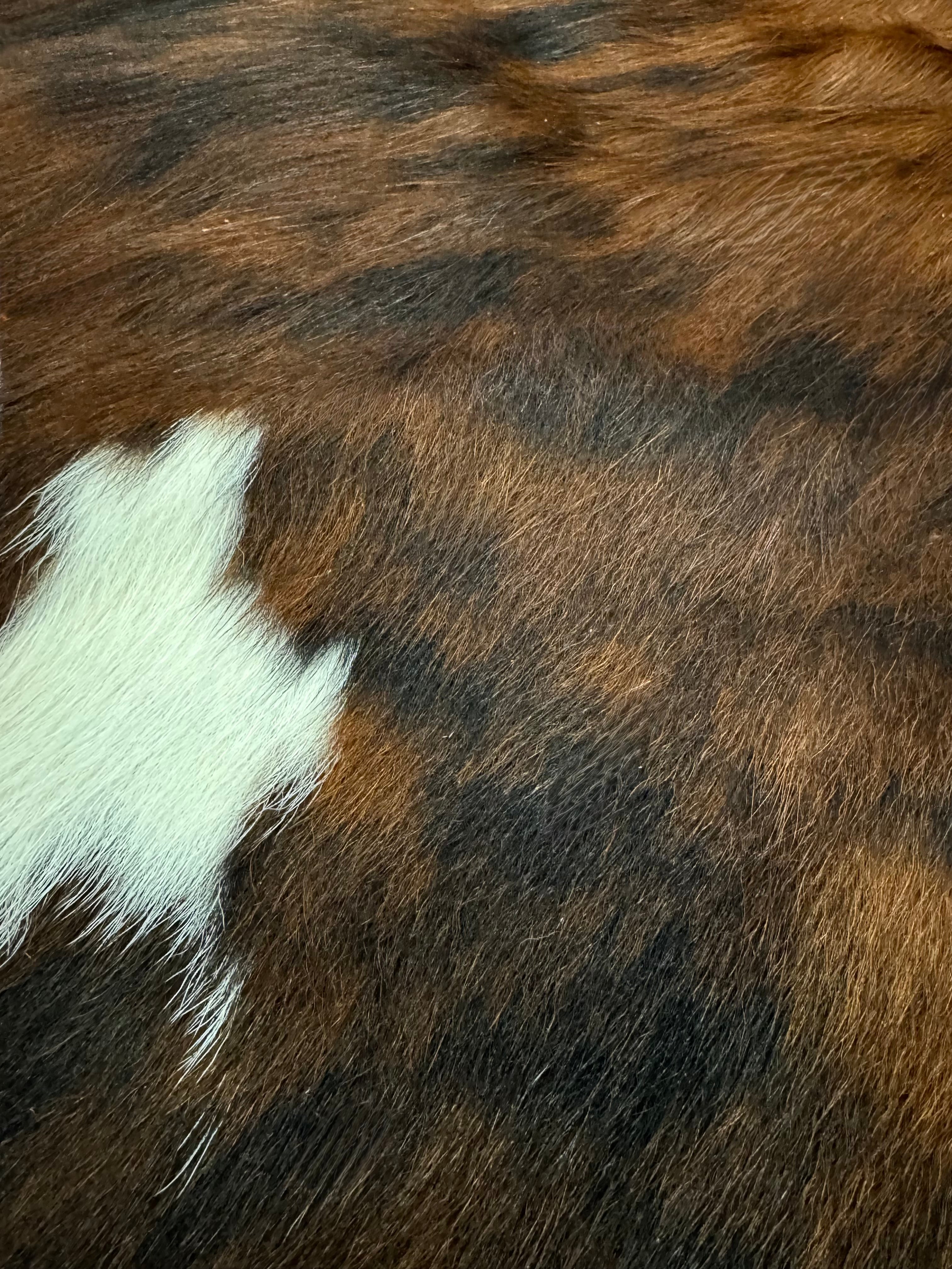 NEW! Cowhide Rug