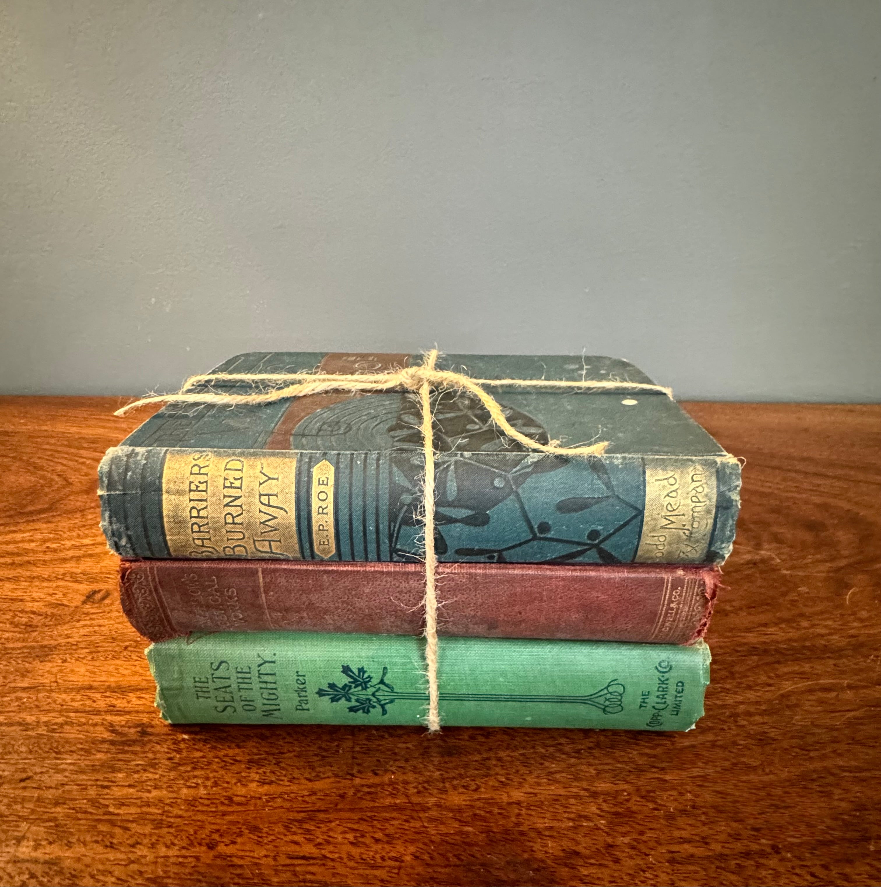 Antique Book Bundle