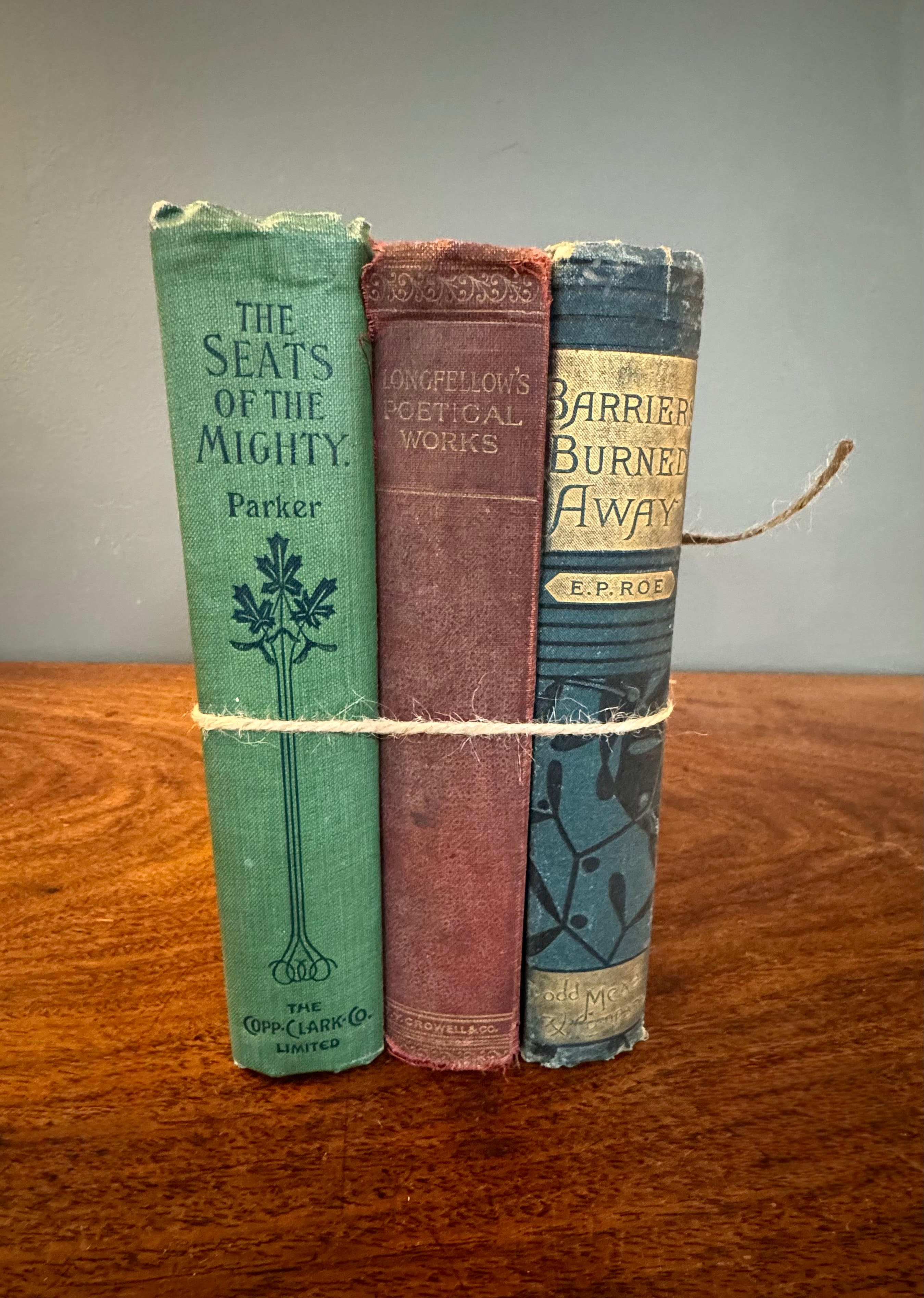 Antique Book Bundle