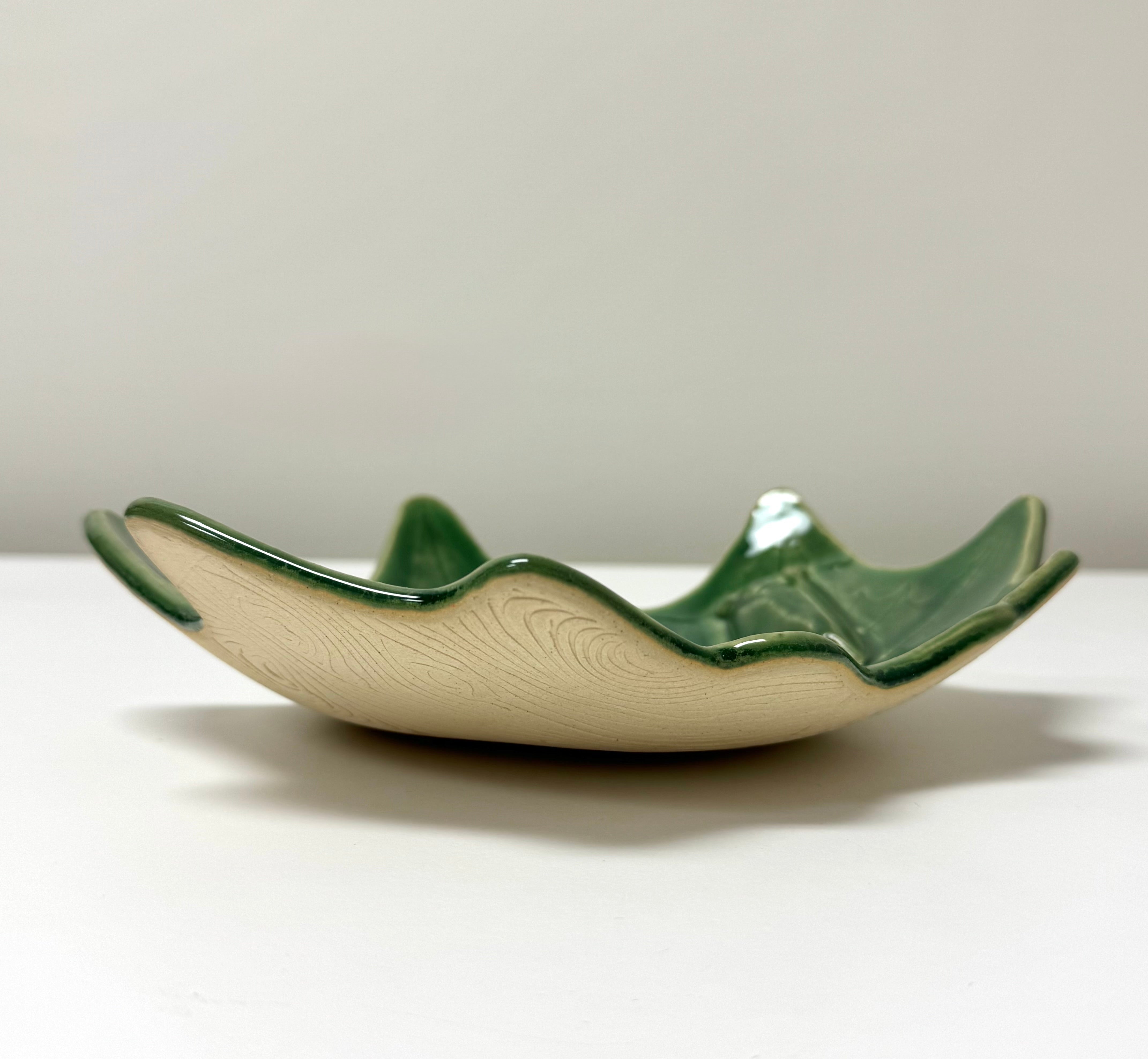 Green Leaf & Bug Dish