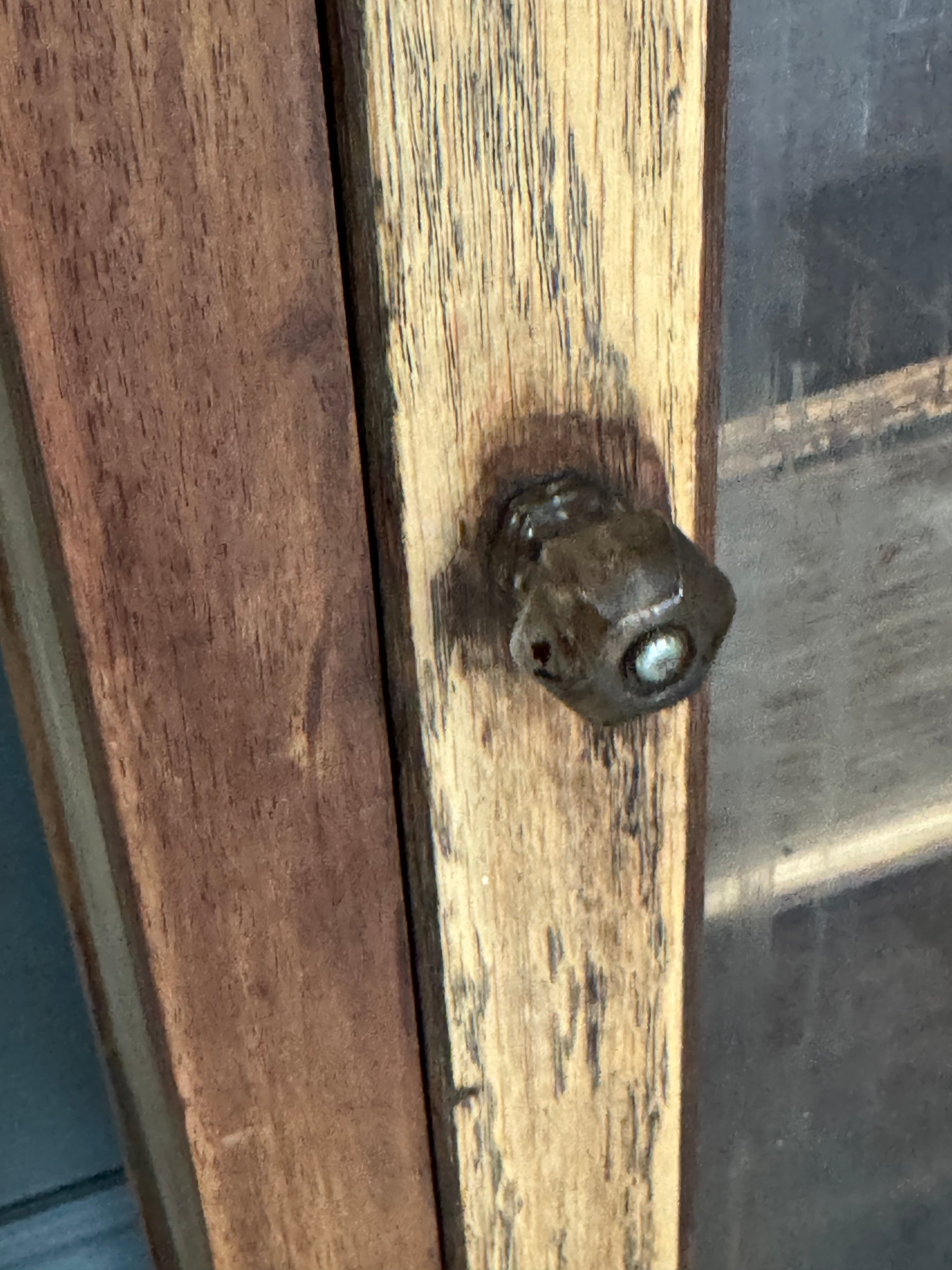 Raw Wood Glass-door Cabinet
