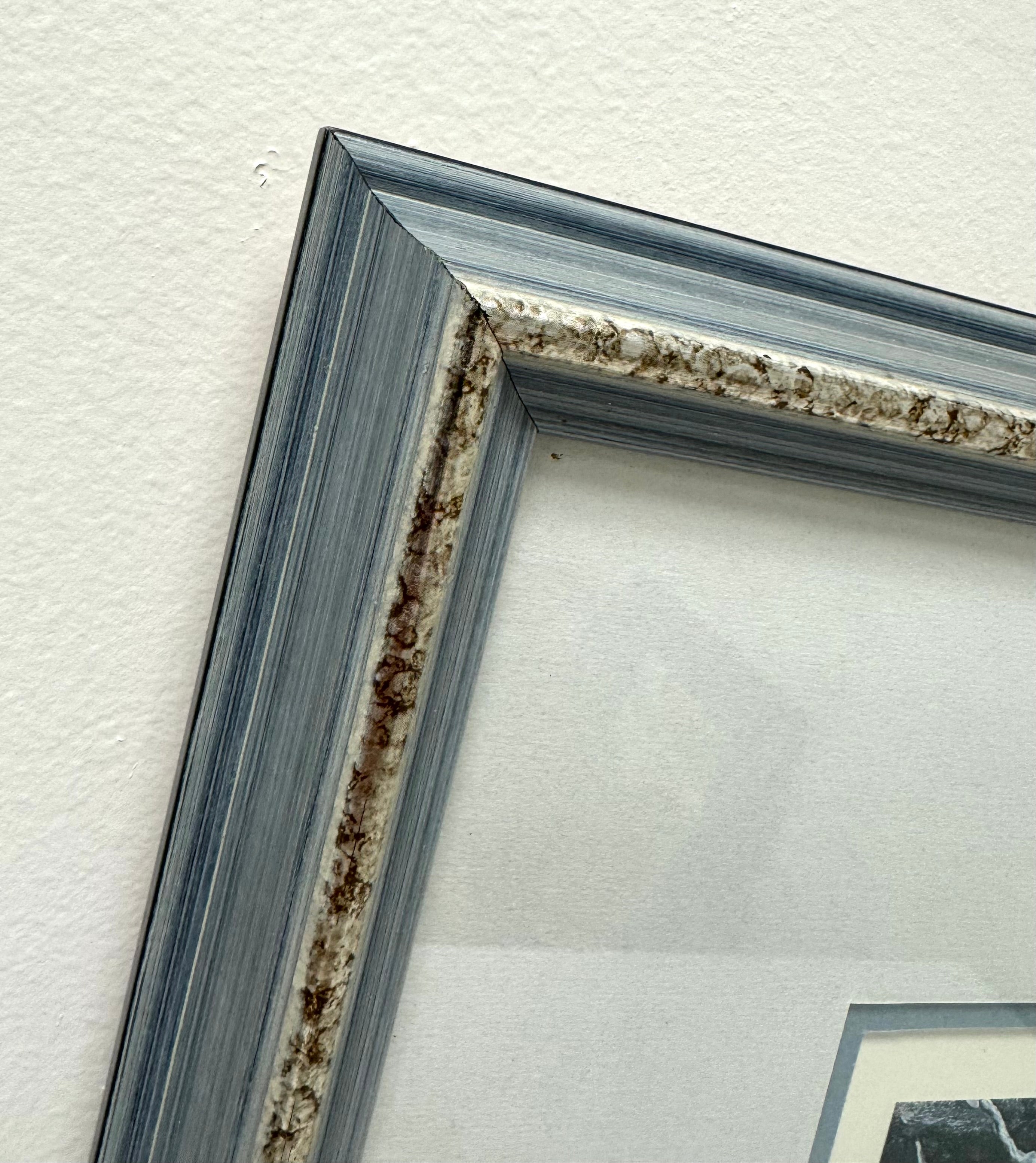 'Snowshoe Hare' Limited Edition Signed Print