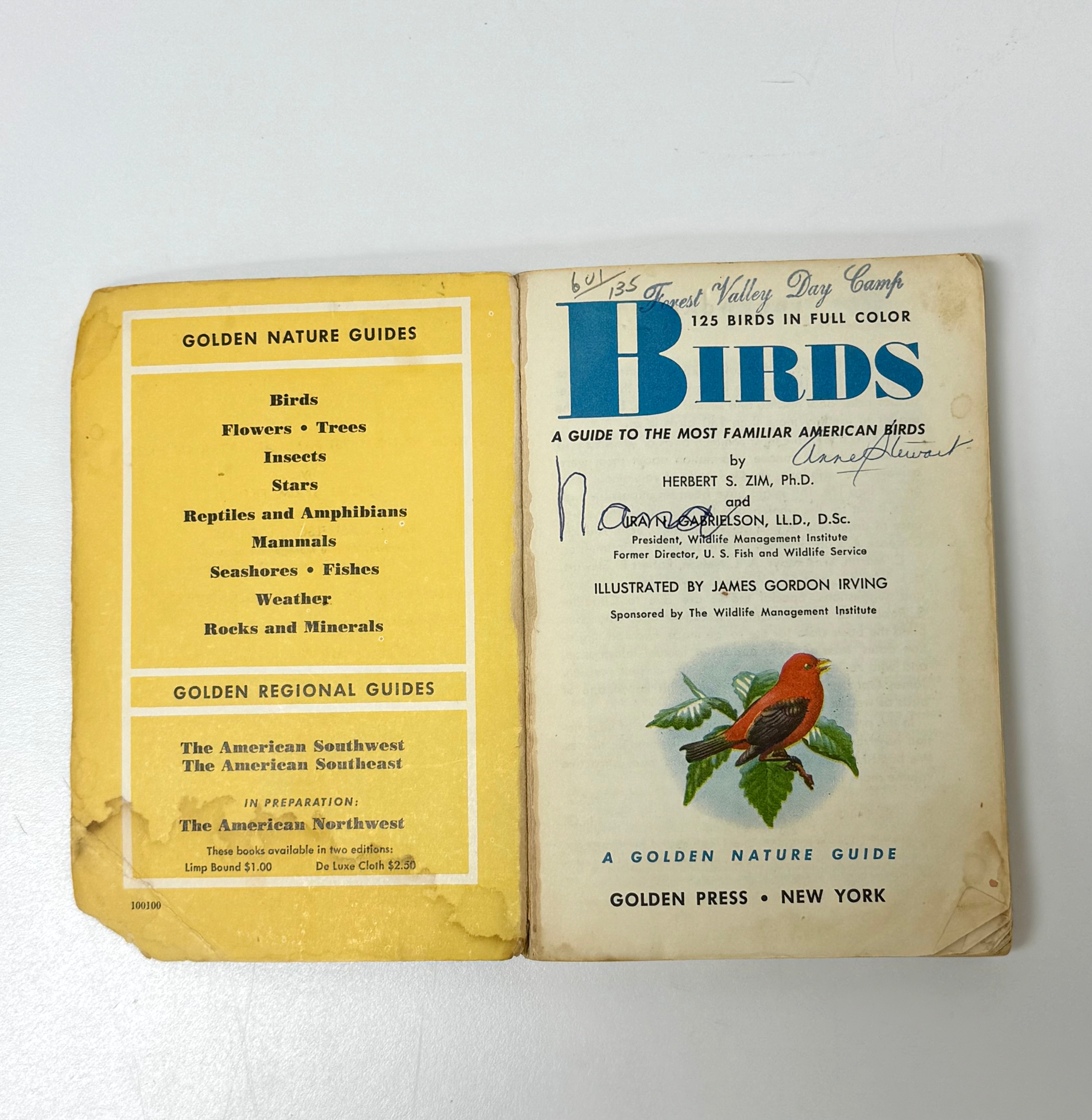 Vintage 'Birds - A Golden Nature Guide' Softcover