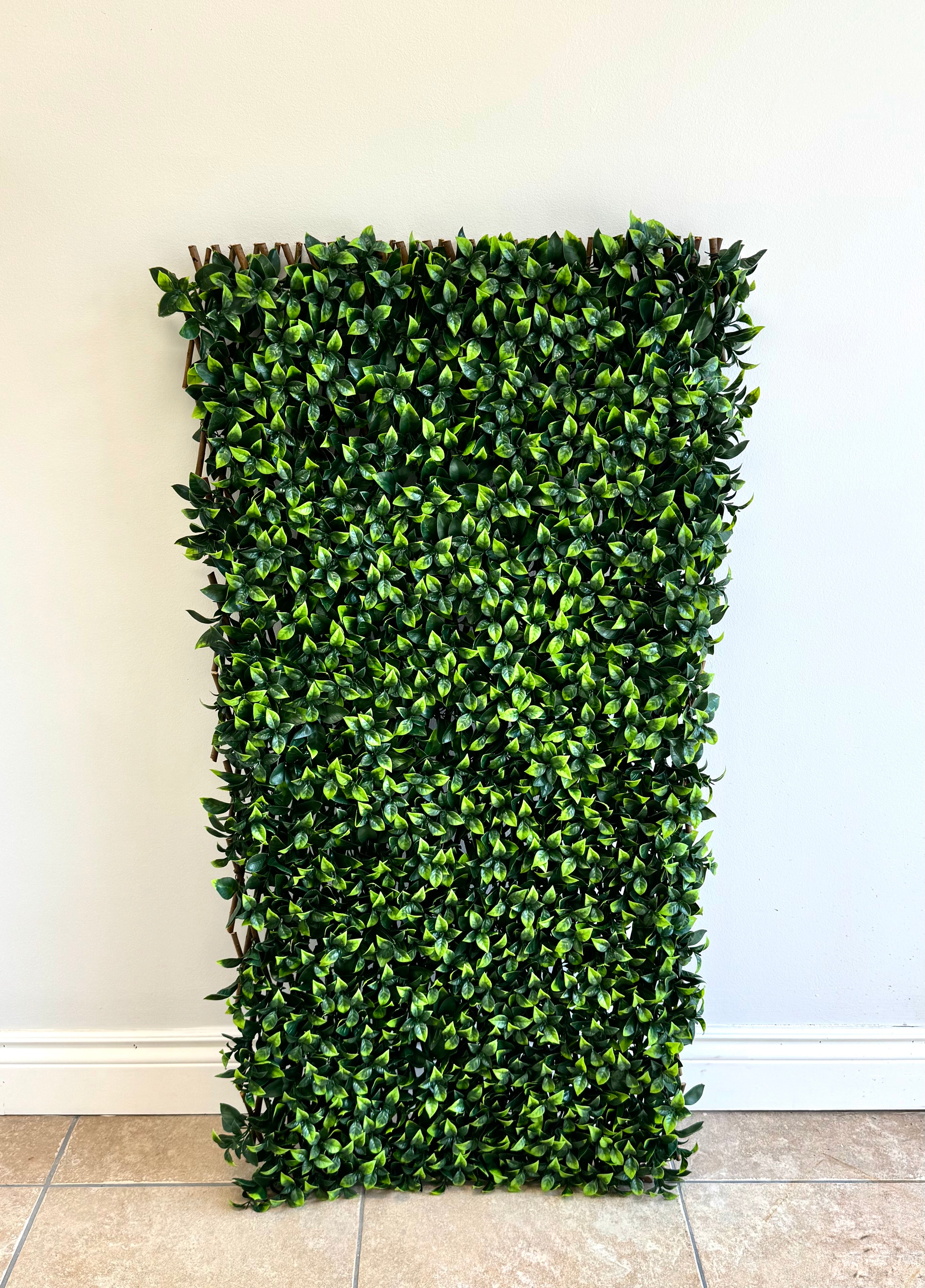 Gardenia Willow 40" x 80" Trellis Screen