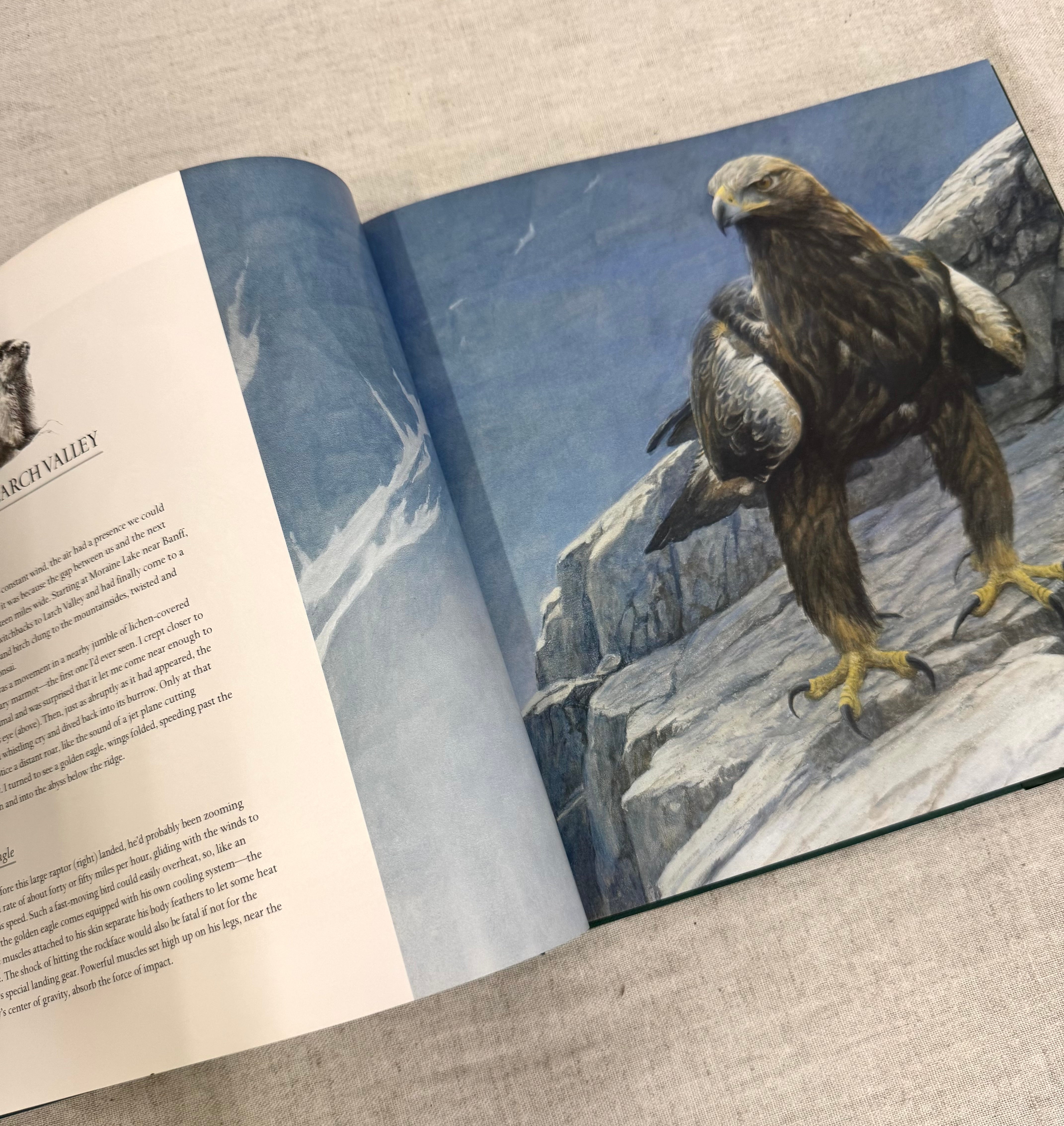 Robert Bateman 'Birds' Hardcover