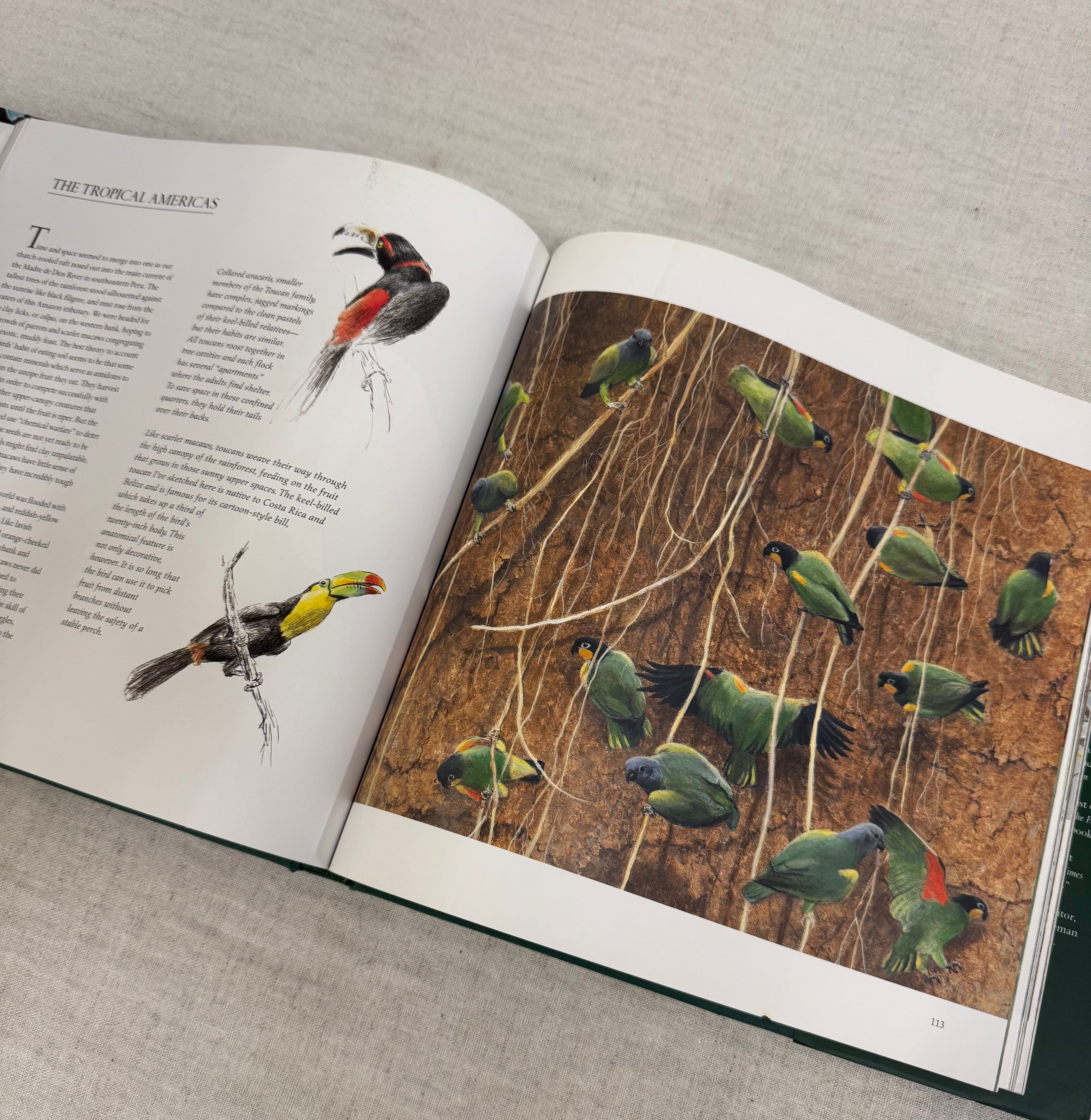 Robert Bateman 'Birds' Hardcover