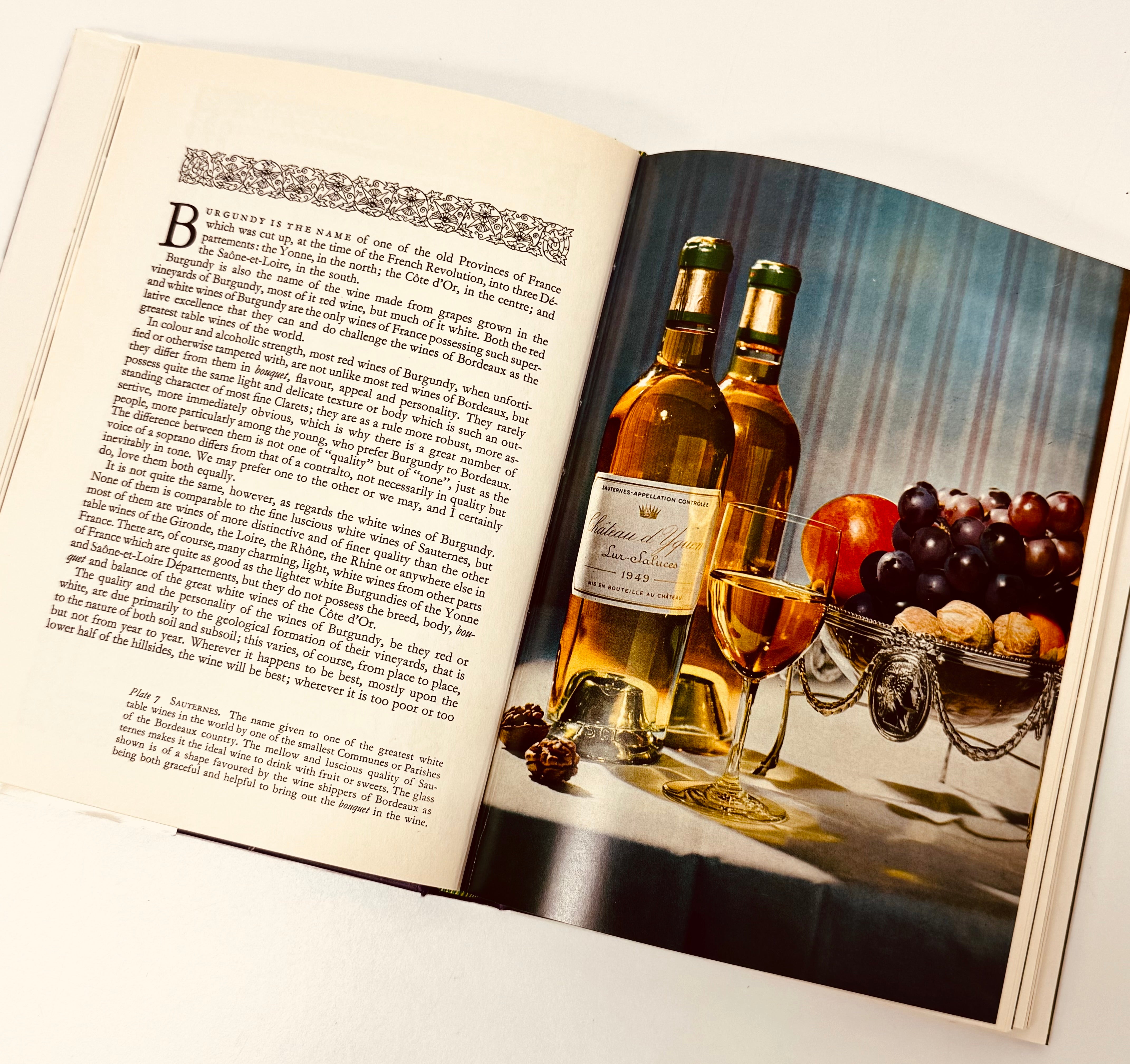 'The Noble Grapes and the Great Wines of France' Hardcover
