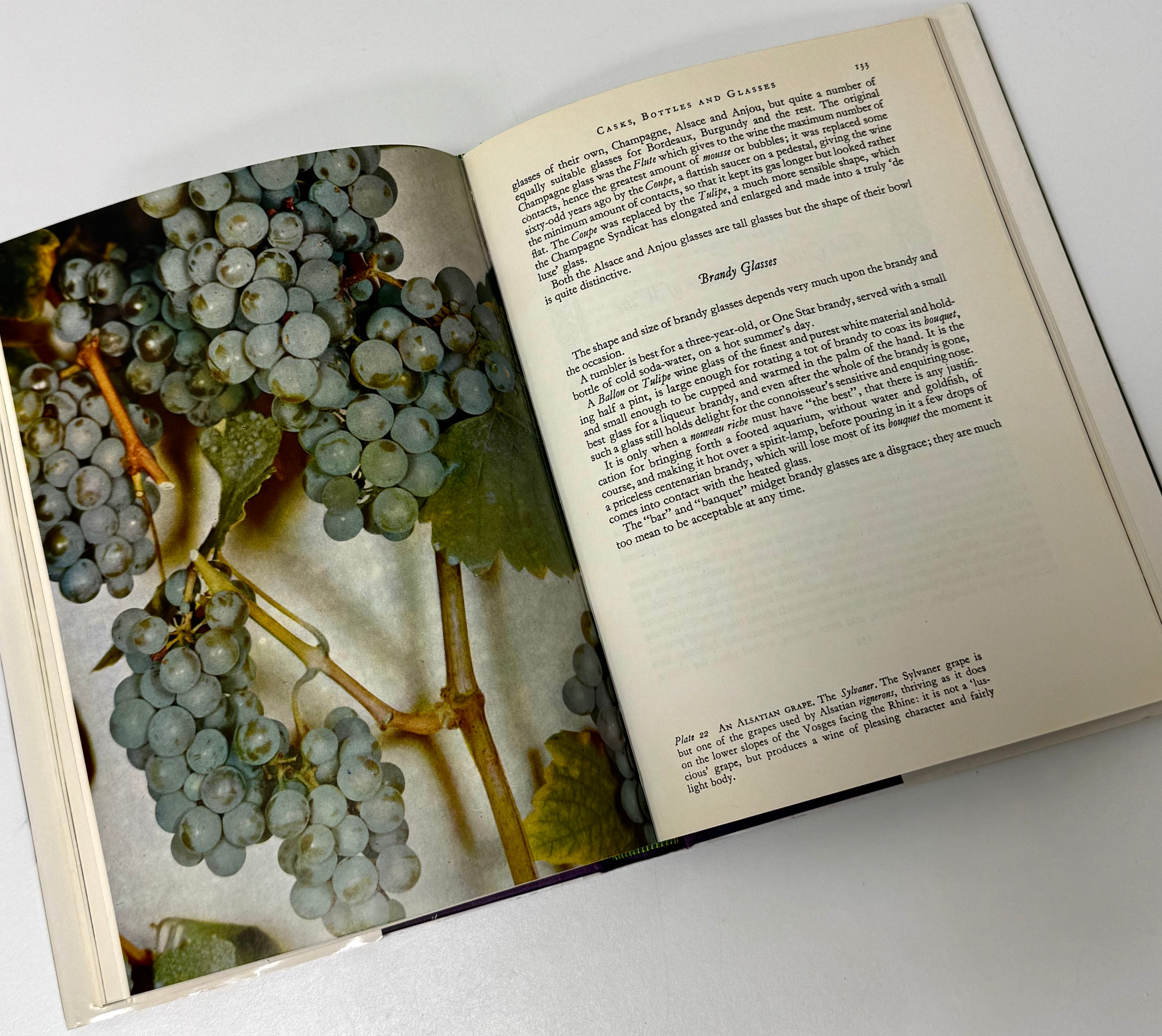 'The Noble Grapes and the Great Wines of France' Hardcover