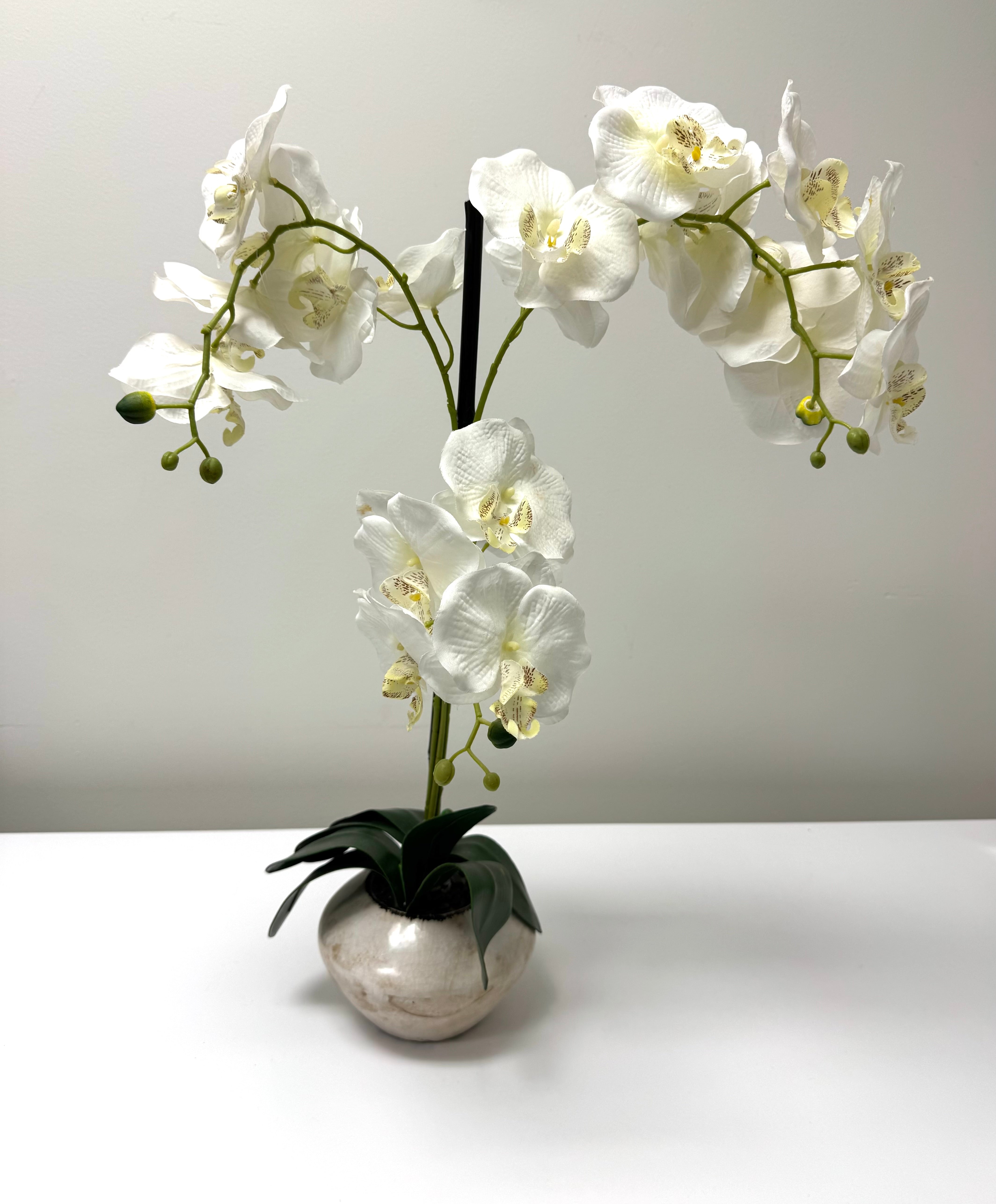 White Faux Orchid in Crackled Glaze Ceramic Pot