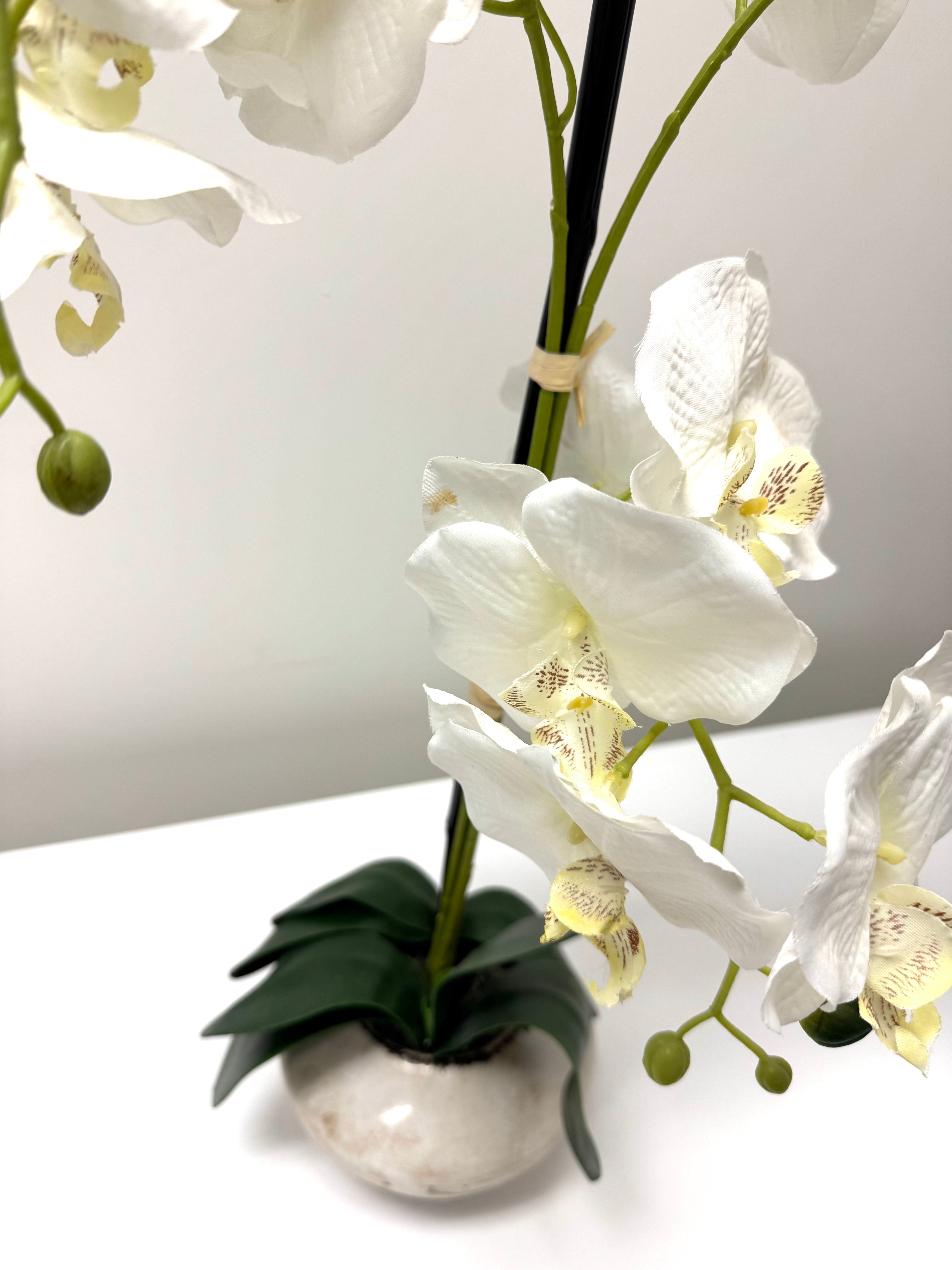 White Faux Orchid in Crackled Glaze Ceramic Pot