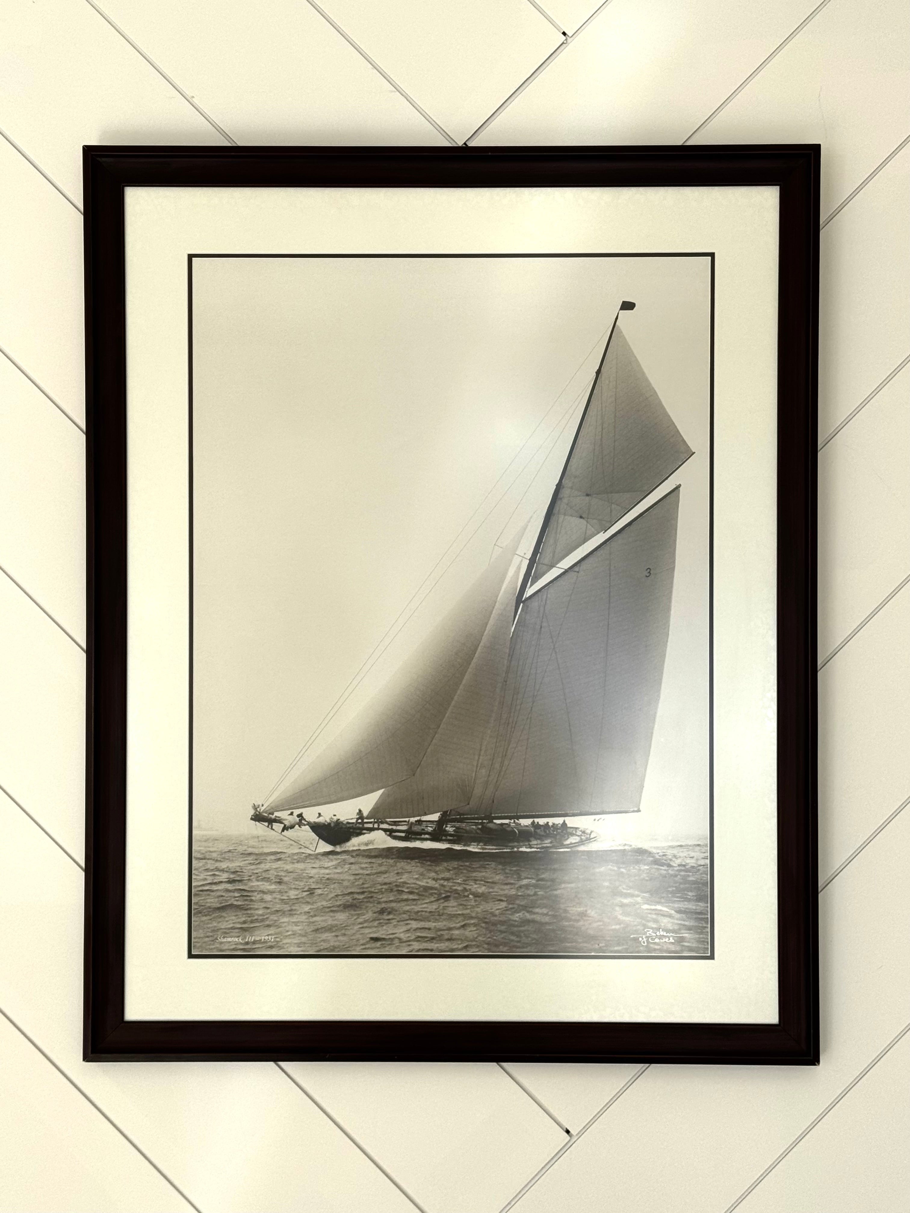 'Shamrock III' Photography Print