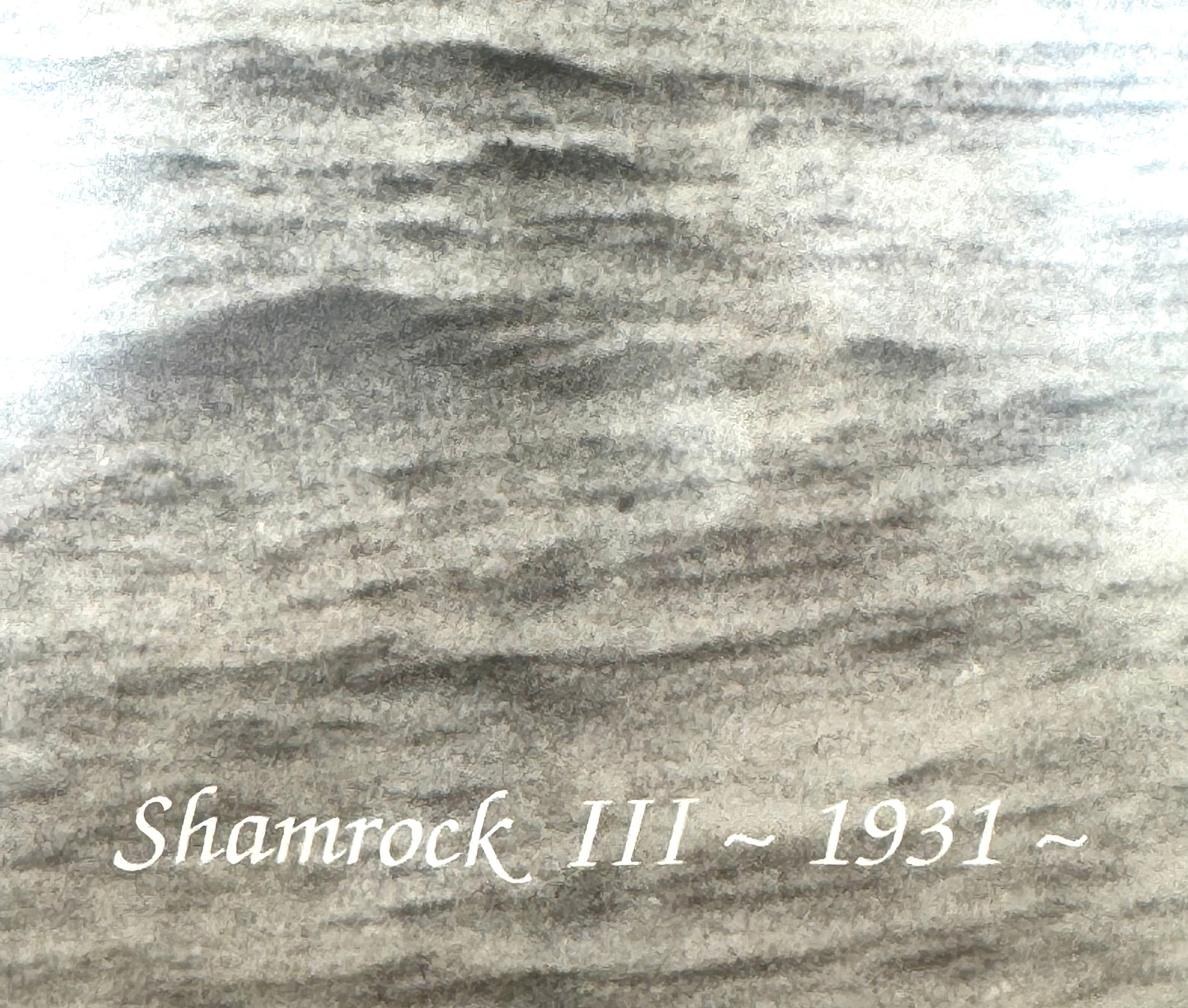 'Shamrock III' Photography Print