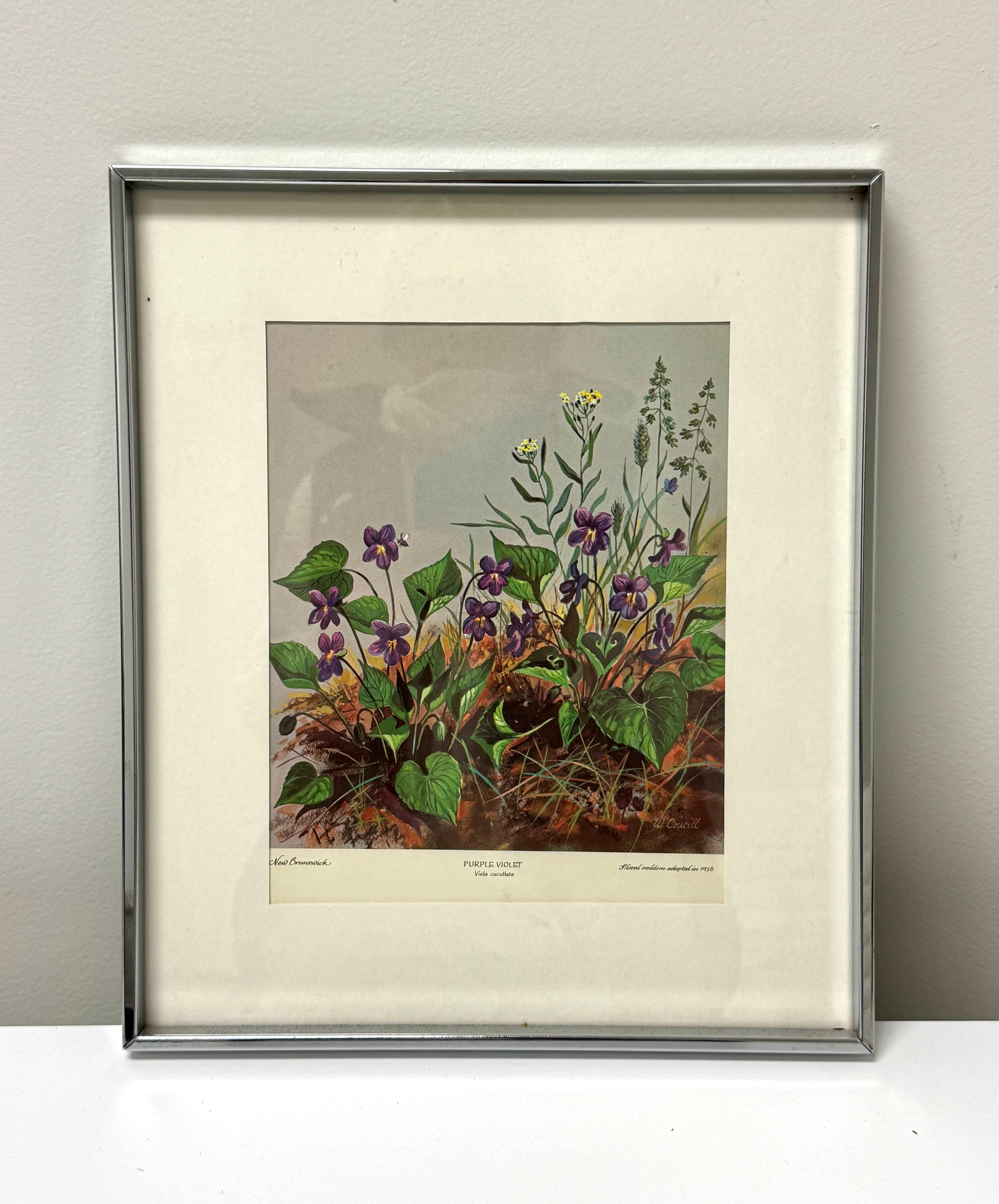 'Purple Violet' Print