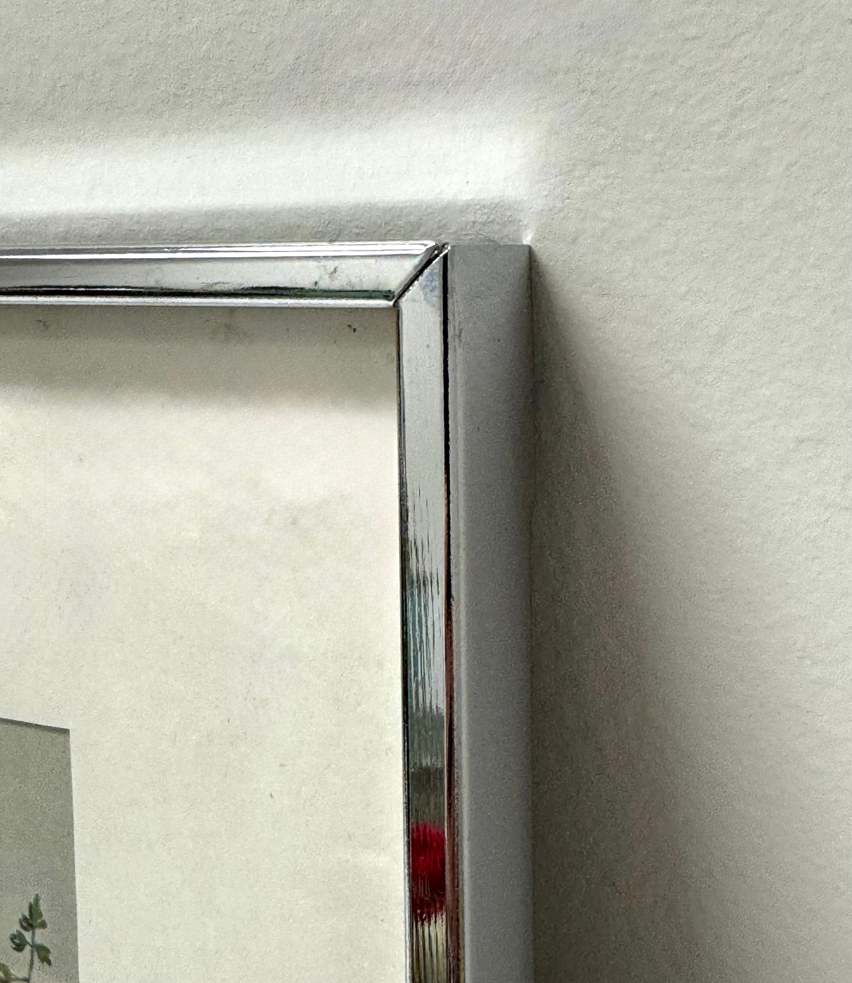 'Purple Violet' Print