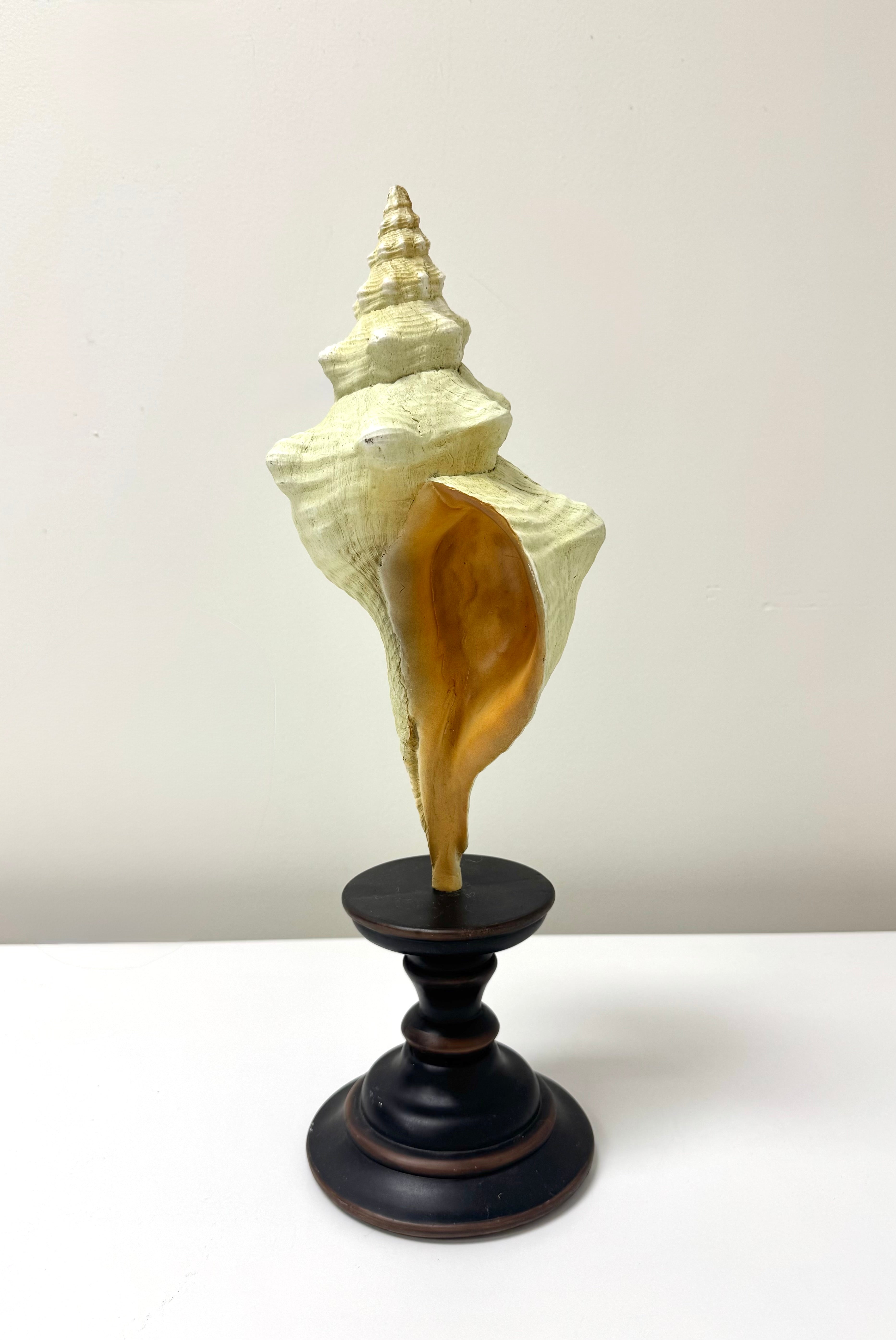 Conch Shell on Wooden Stand