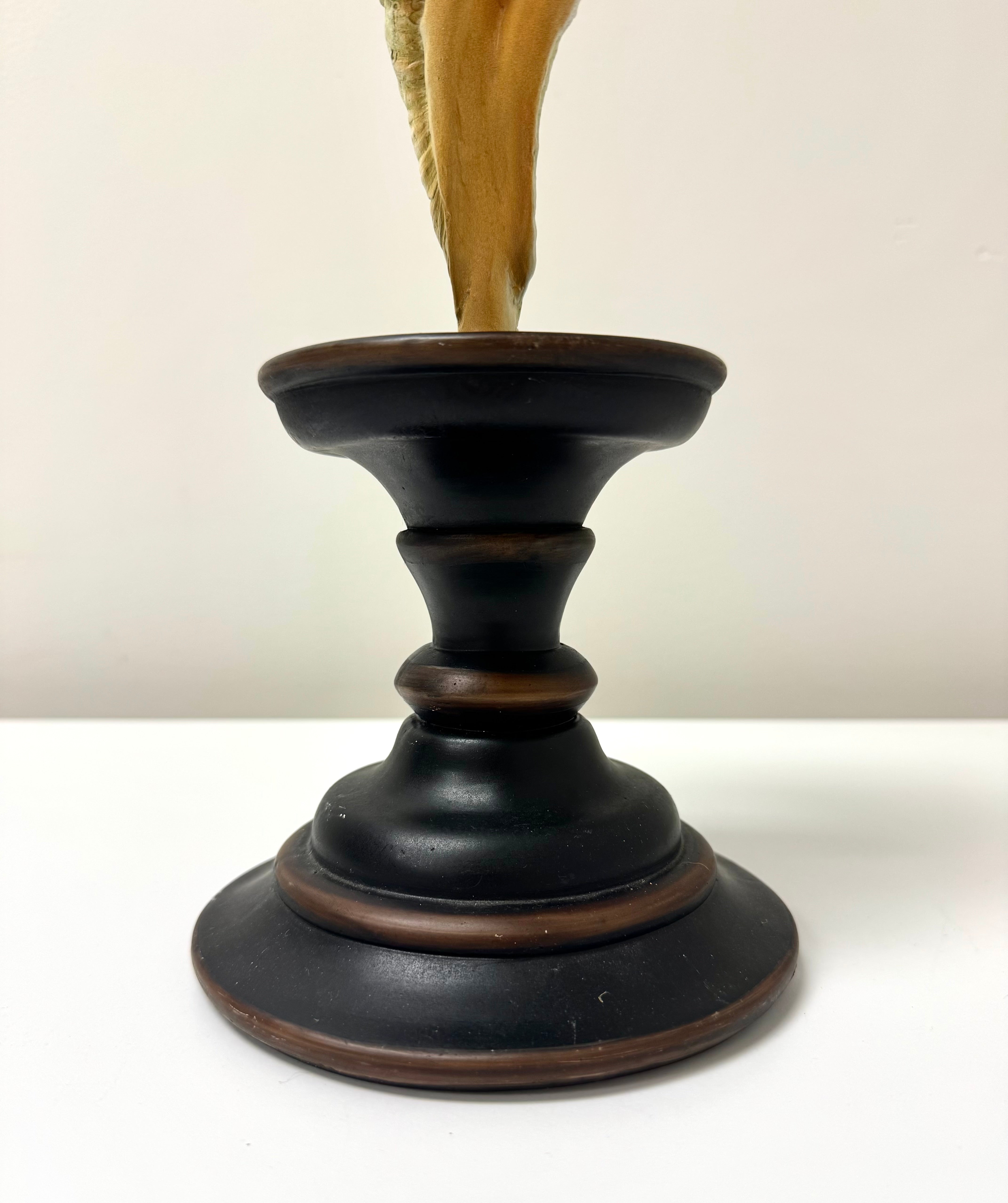 Conch Shell on Wooden Stand