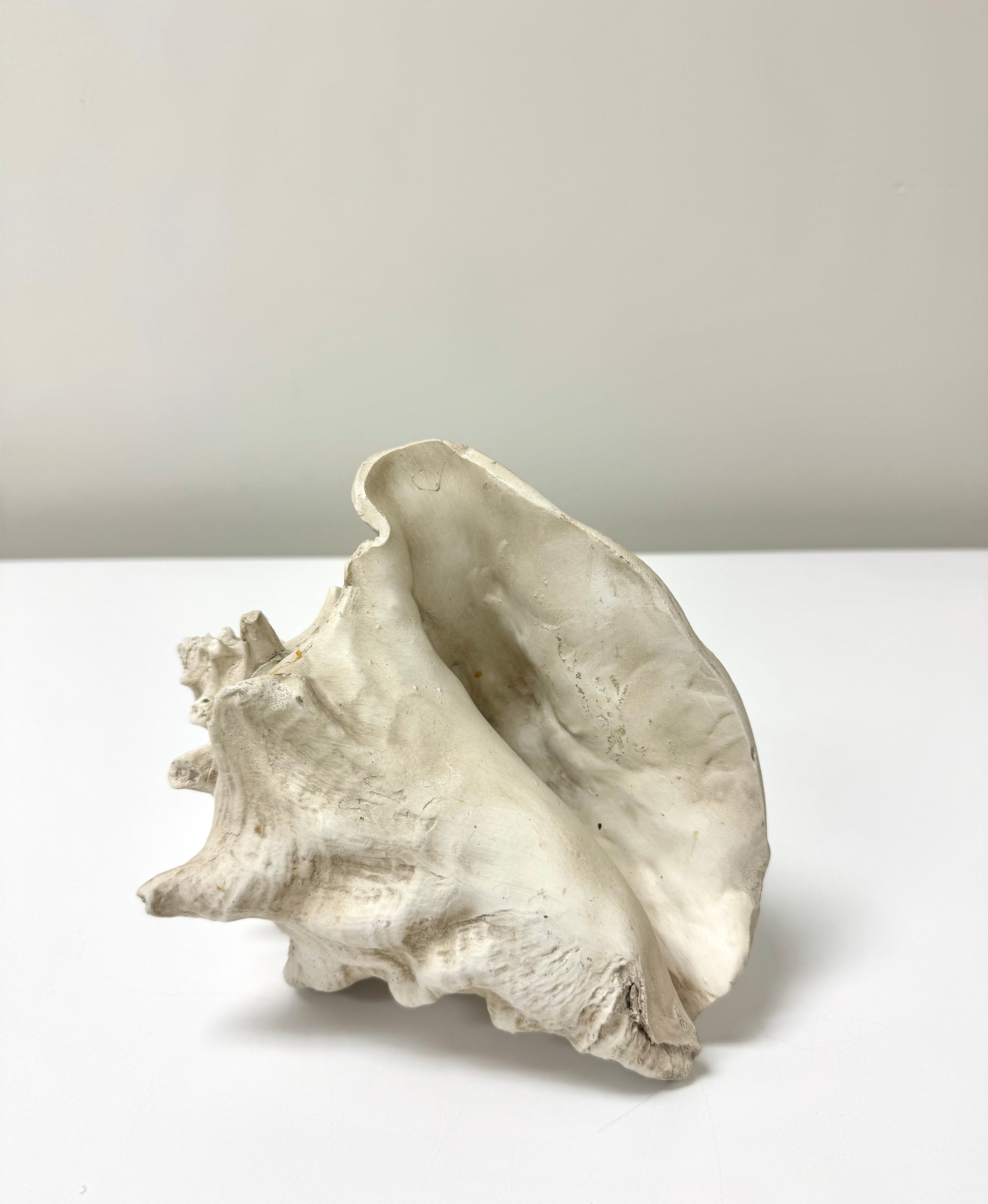 Resin Conch Shell