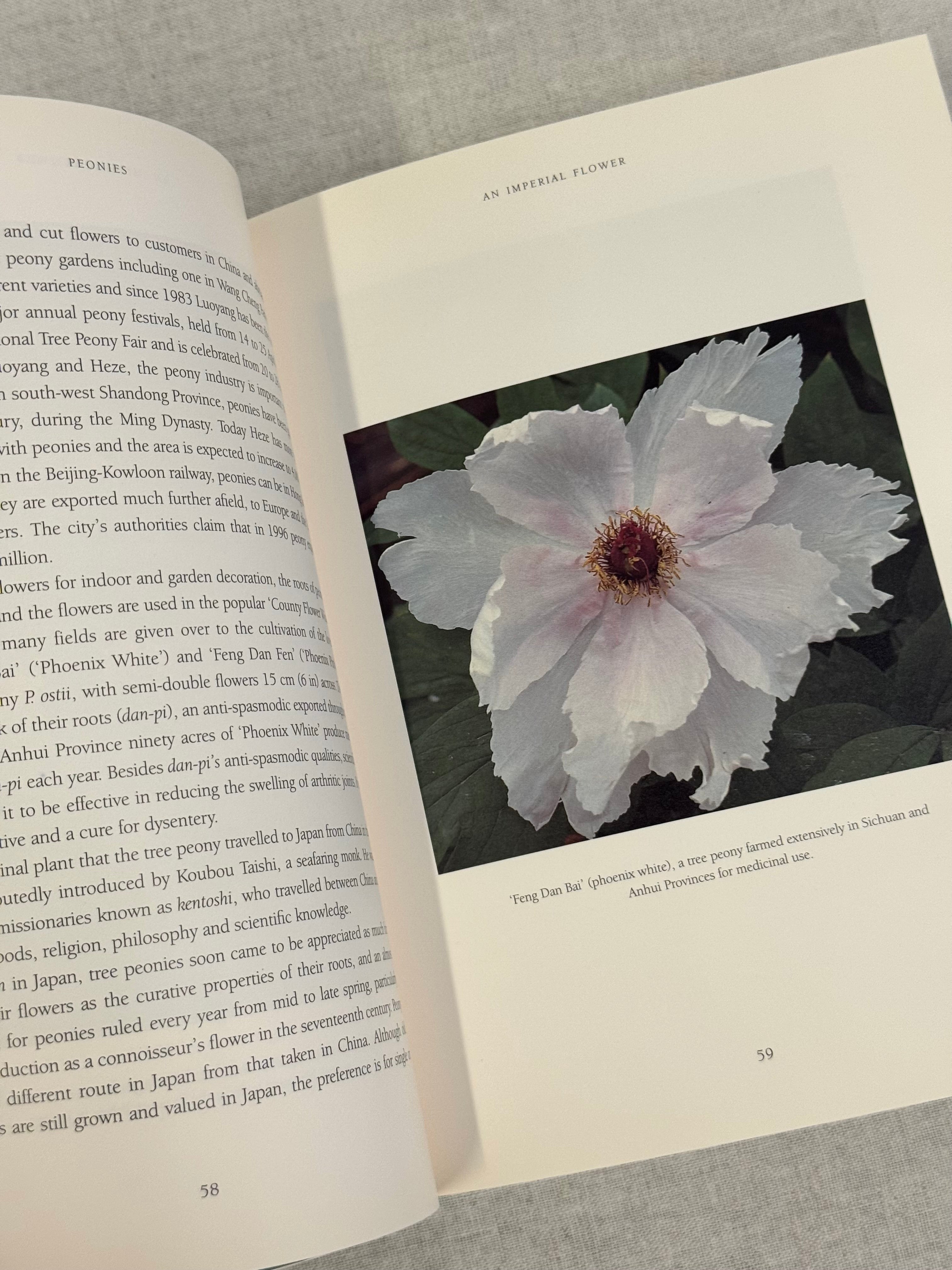 'Peonies The Imperial Flower' Softcover
