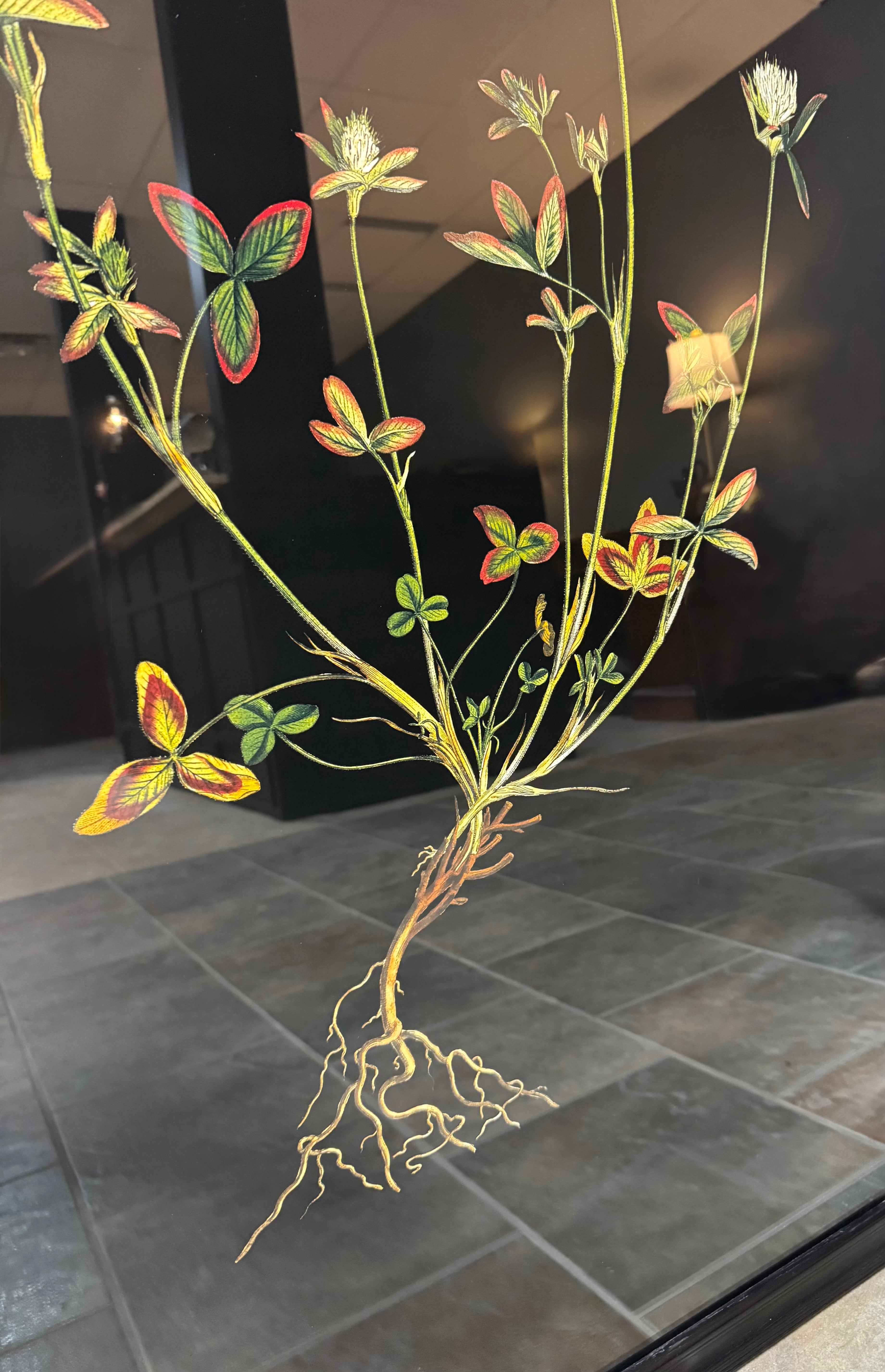 Custom-framed Black Botanical