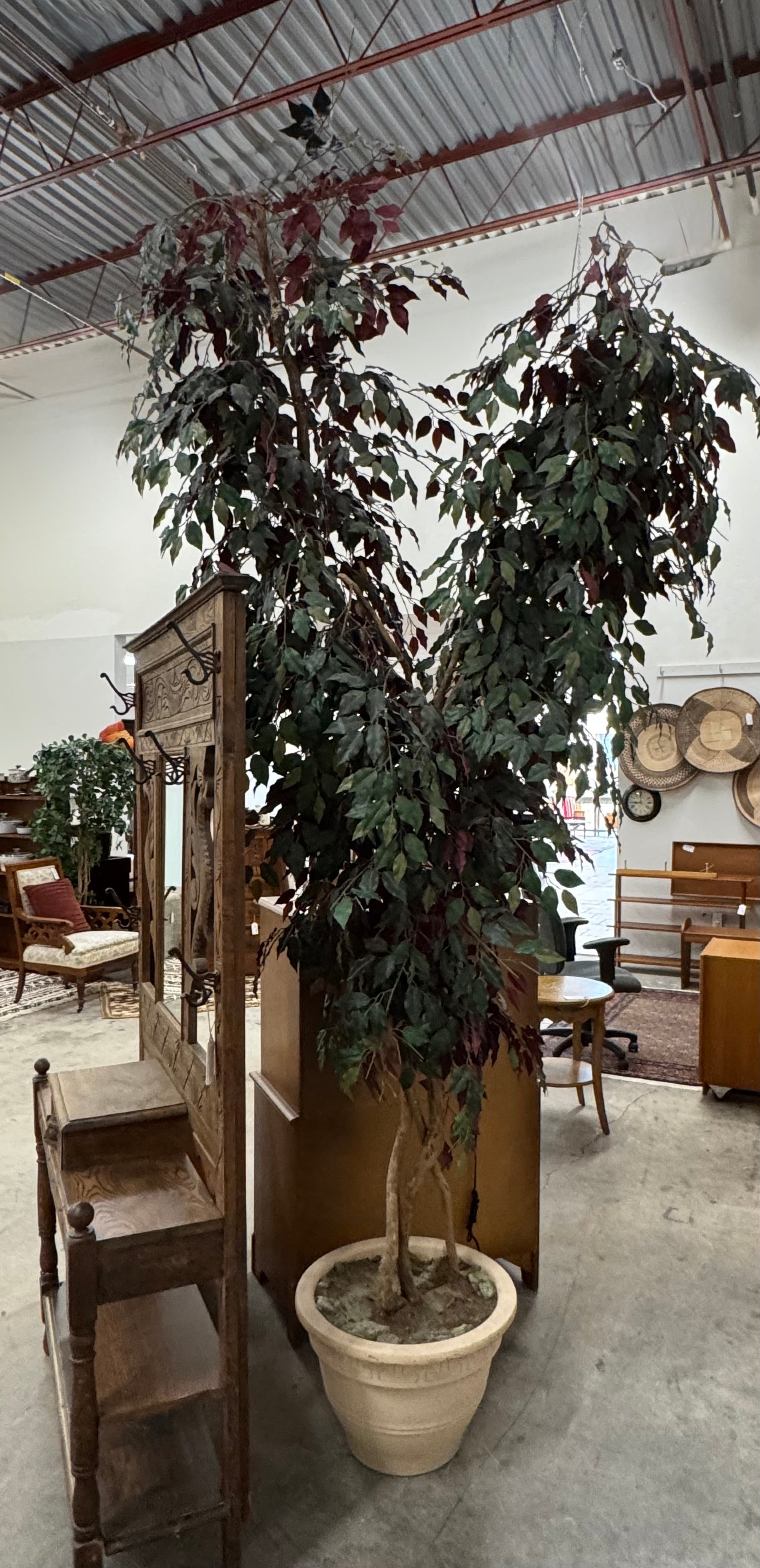 Faux 72" Tree in Terracotta Pot
