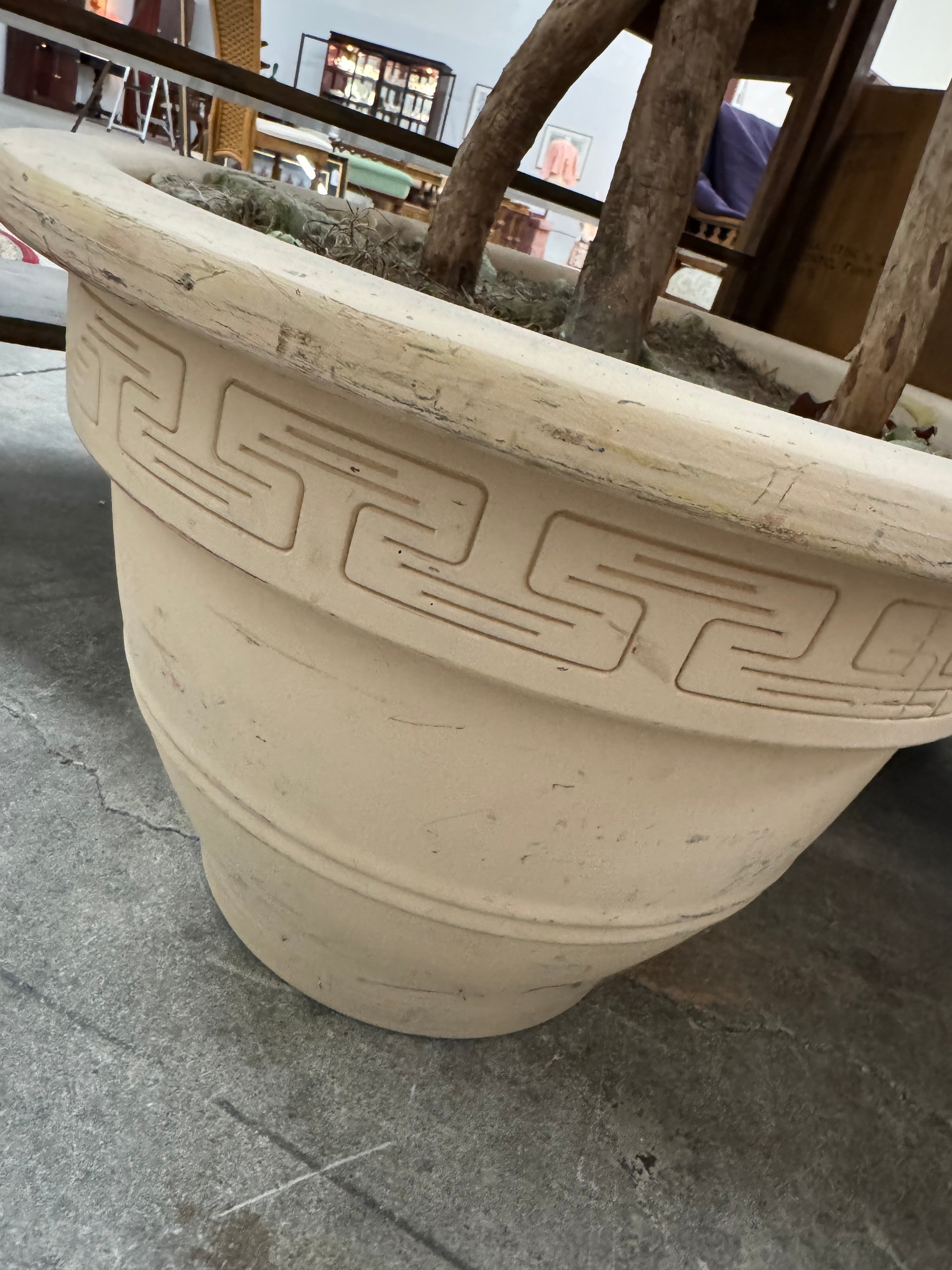 Faux 72" Tree in Terracotta Pot