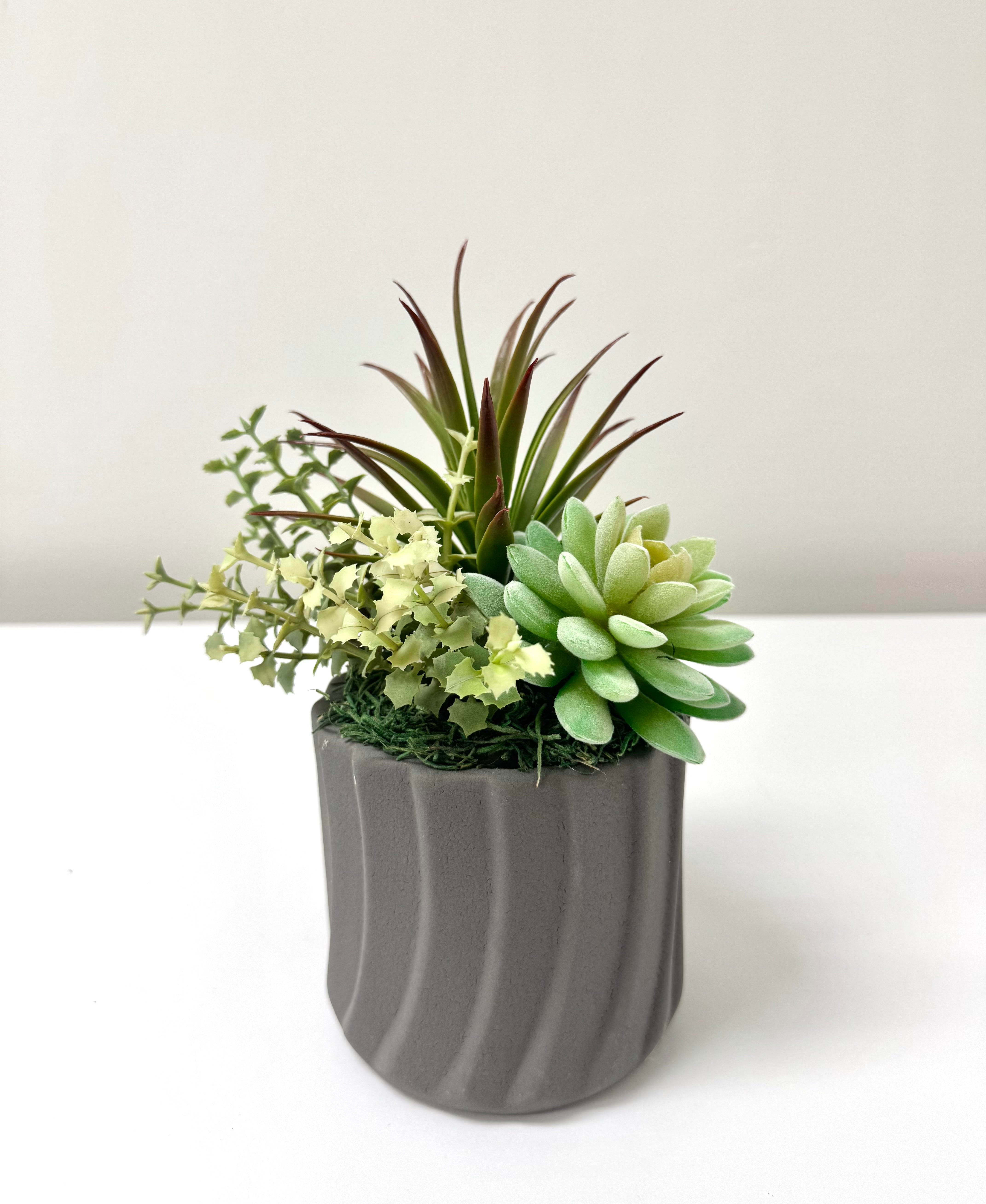 NEW Succulents in Gray Swirl Pot