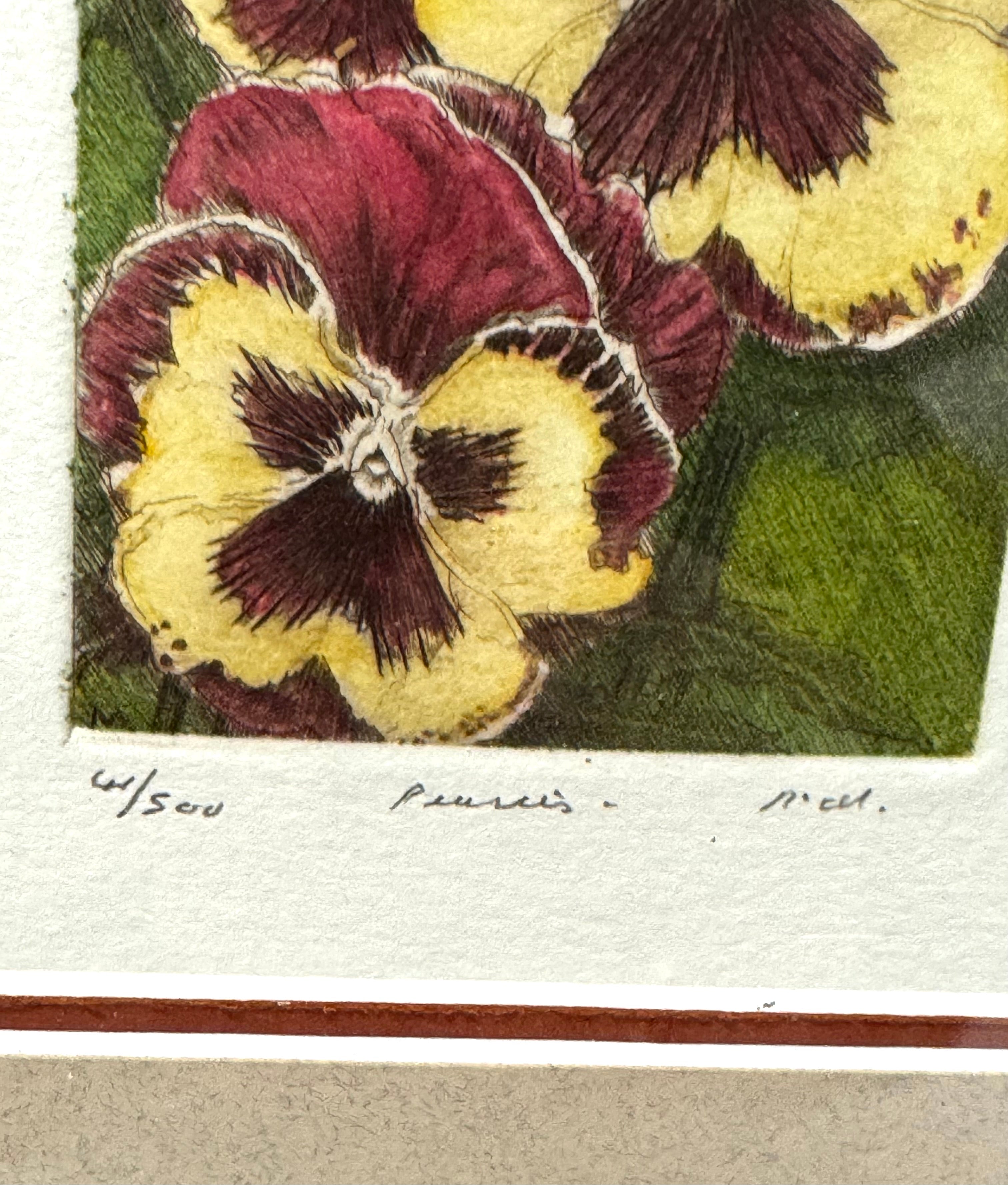 'Pansies' Hand-inked Watercolour Print