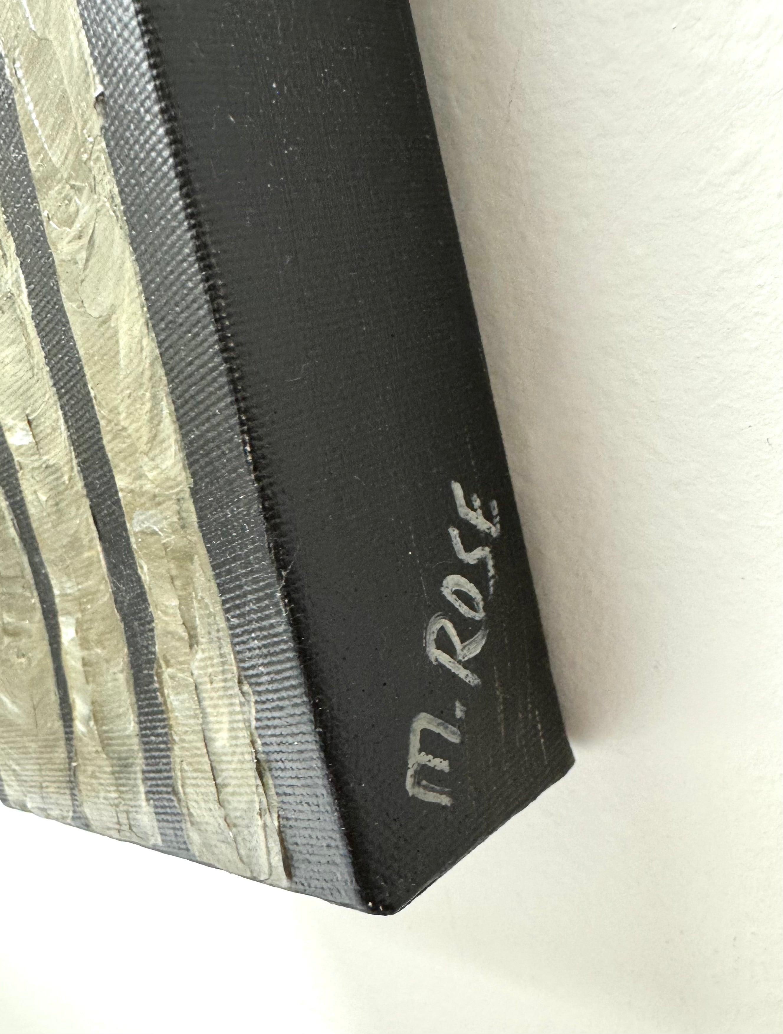 Raccoon in Trees Canvas Art