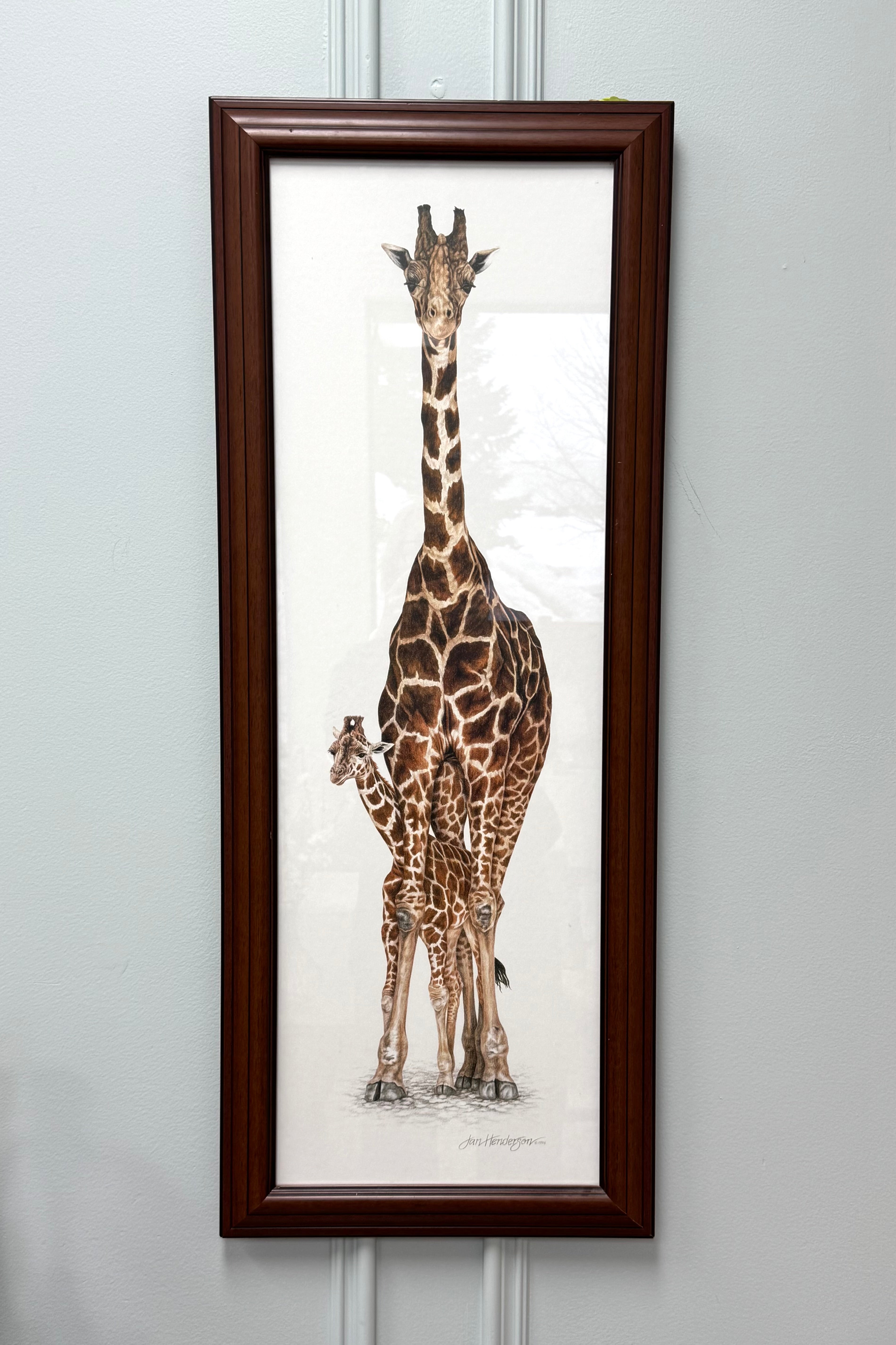'Giraffe and Calf' Print