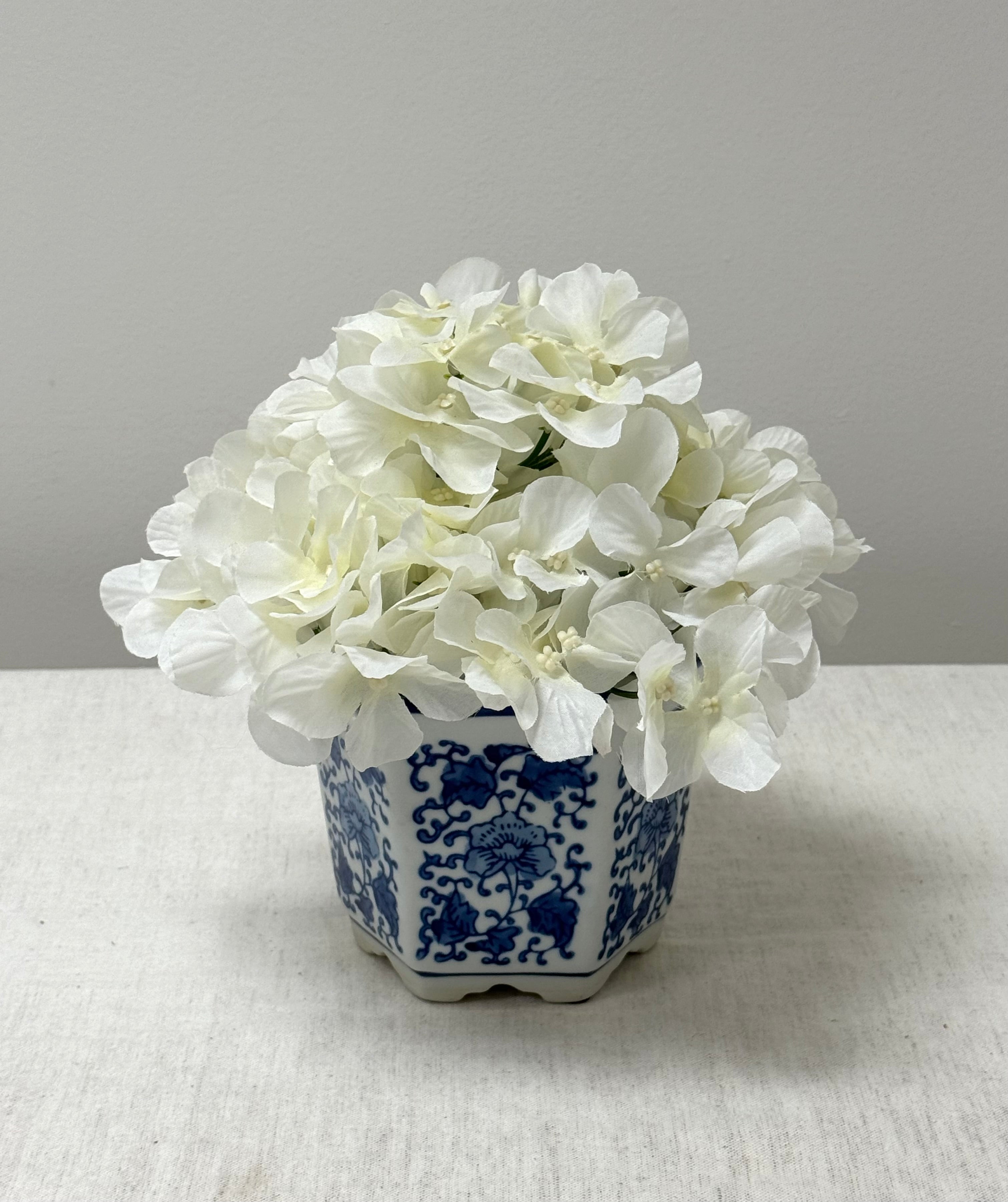 White Hydrangeas in Blue & White Pot