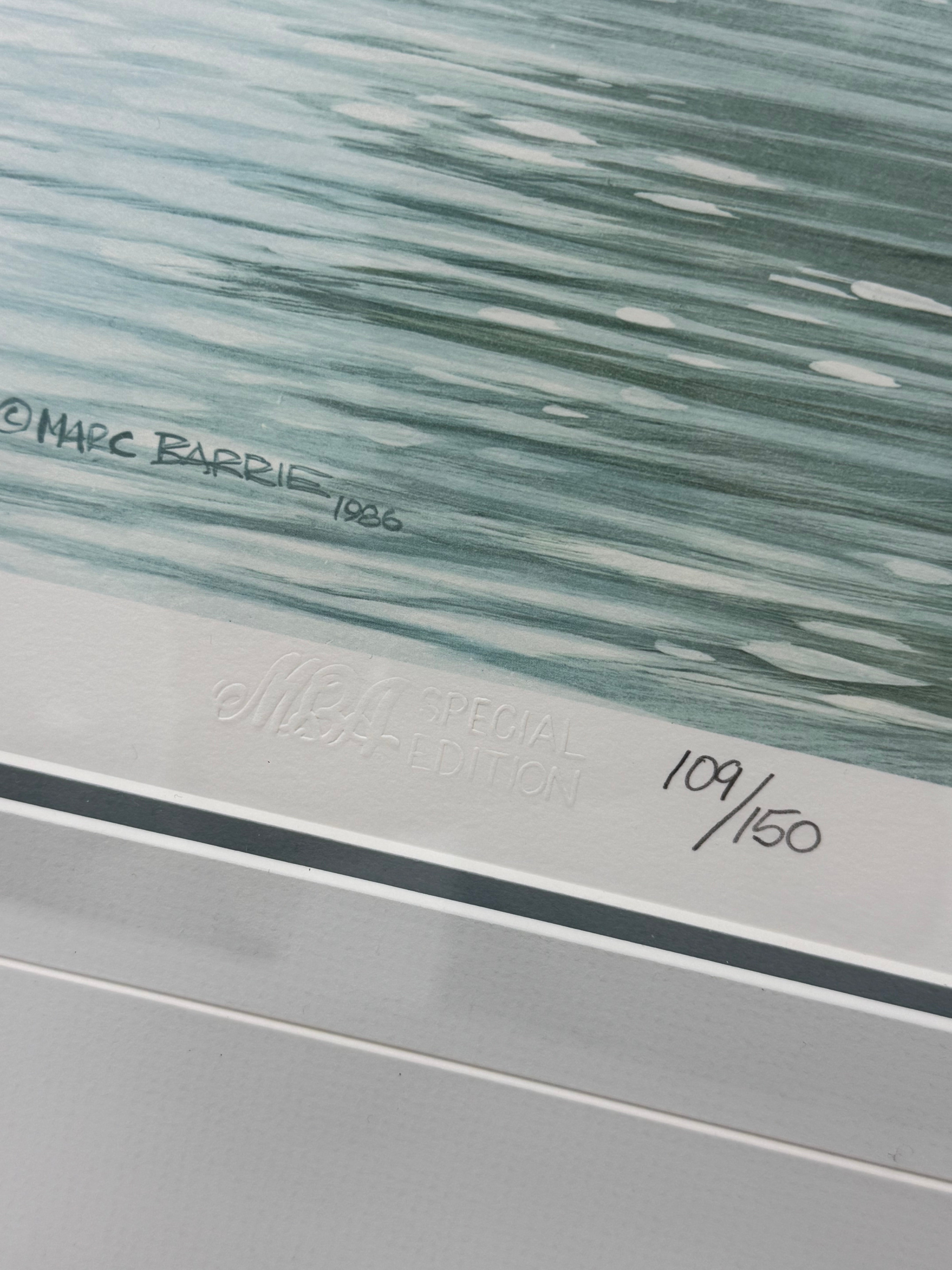 'Northern Sanctuary - Loon Family' Signed Print