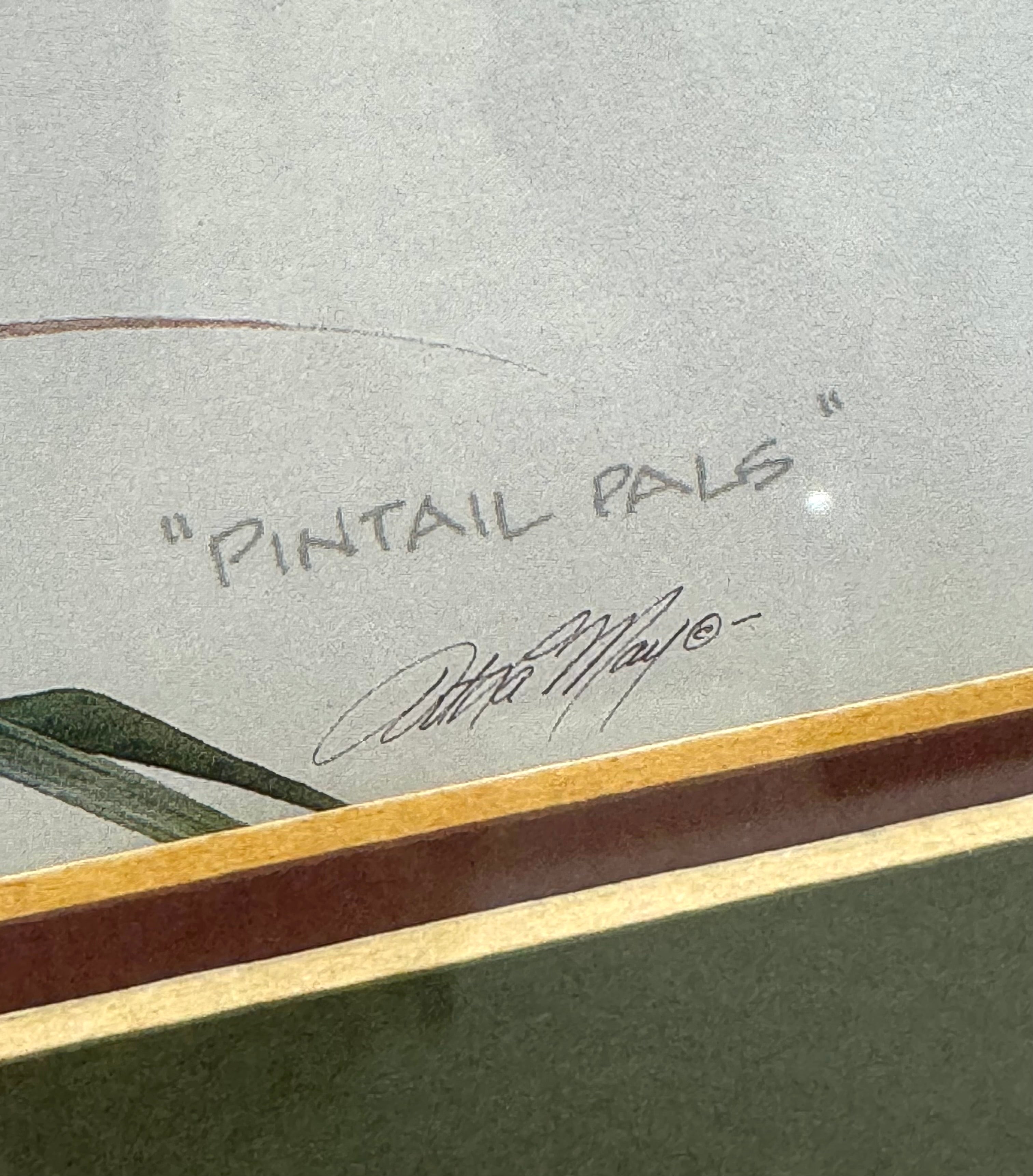 'Pintail Pals' Print