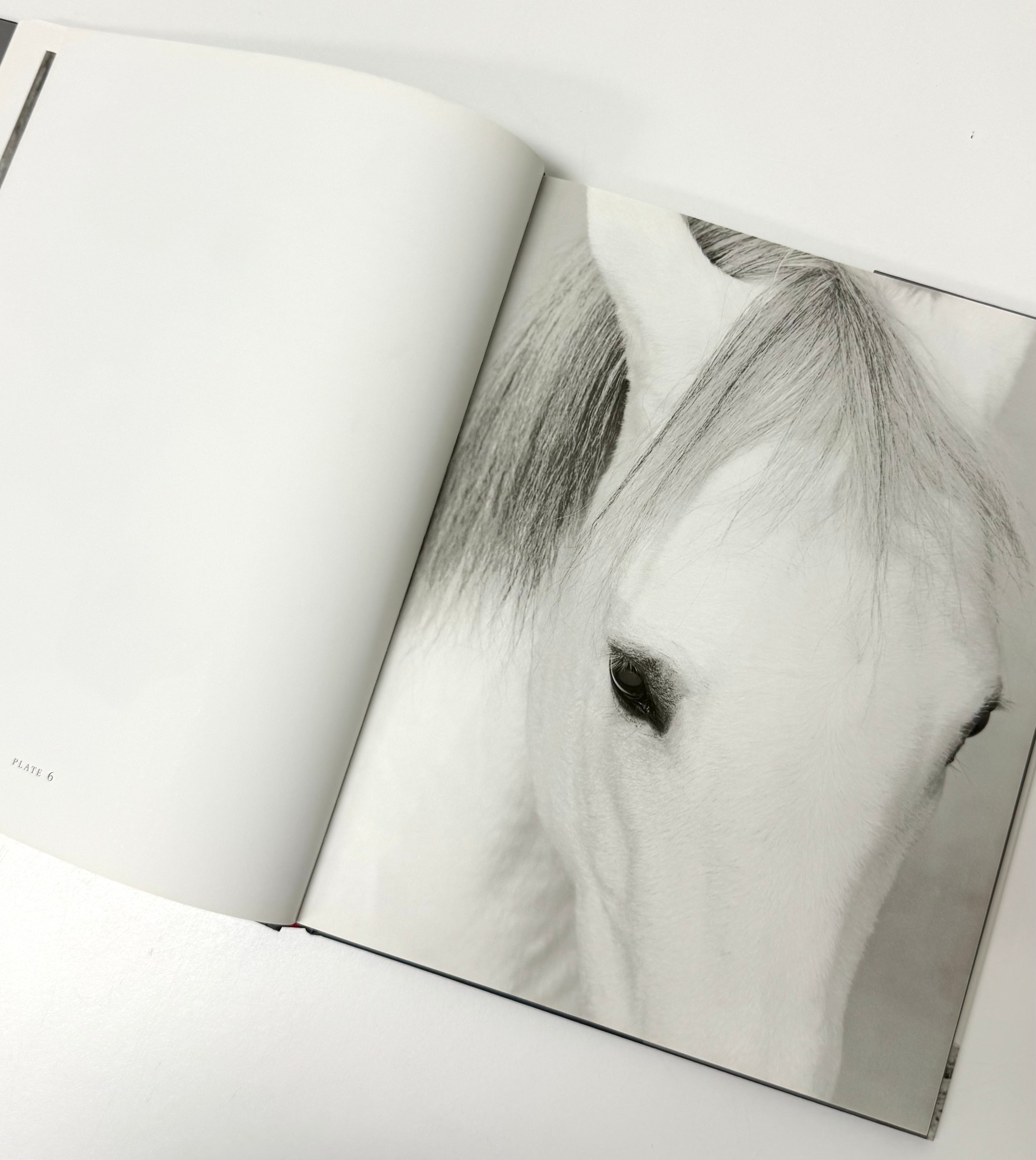 'Heart of the Horse' Hardcover
