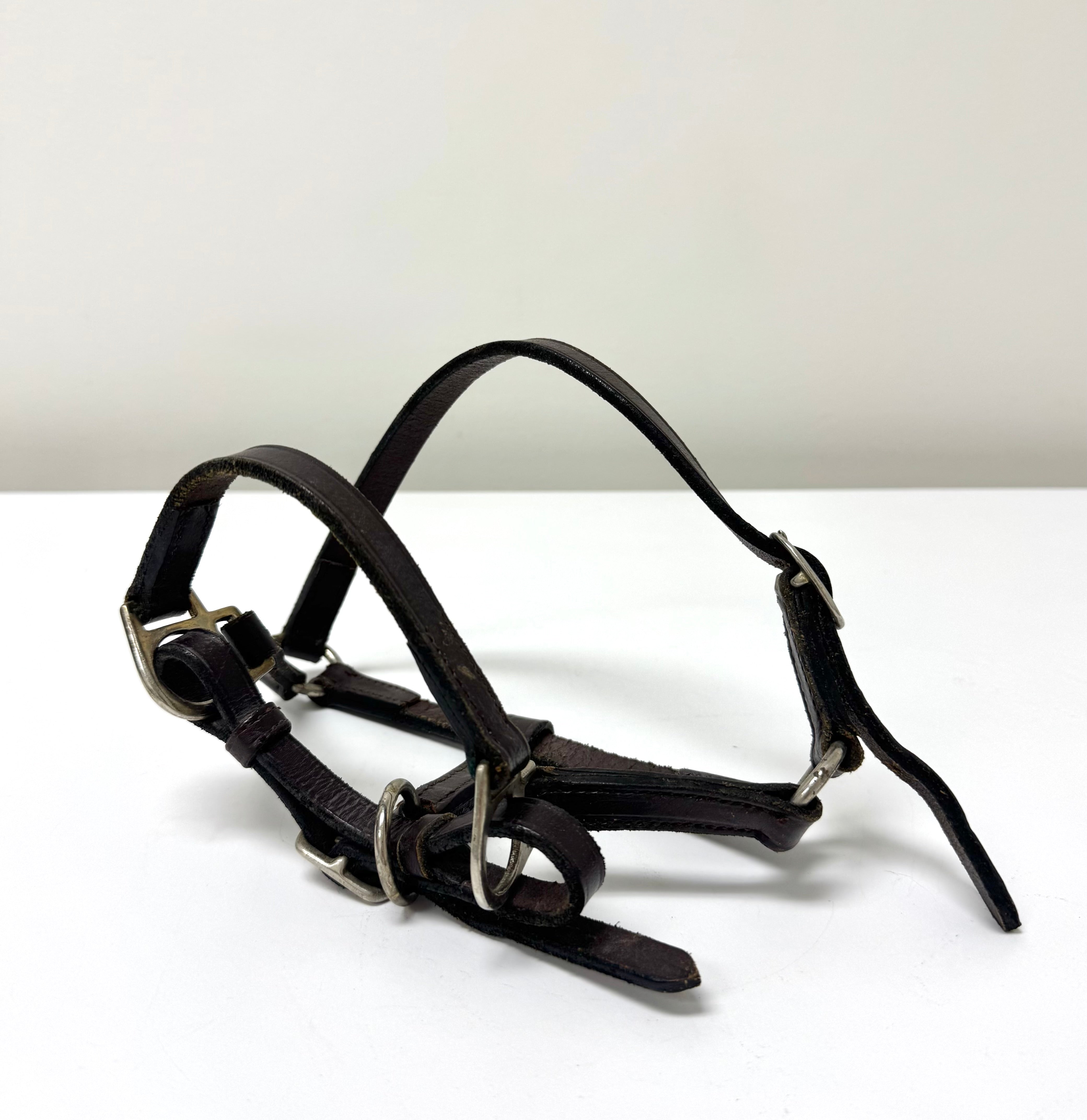 Vintage Leather Foal Halter