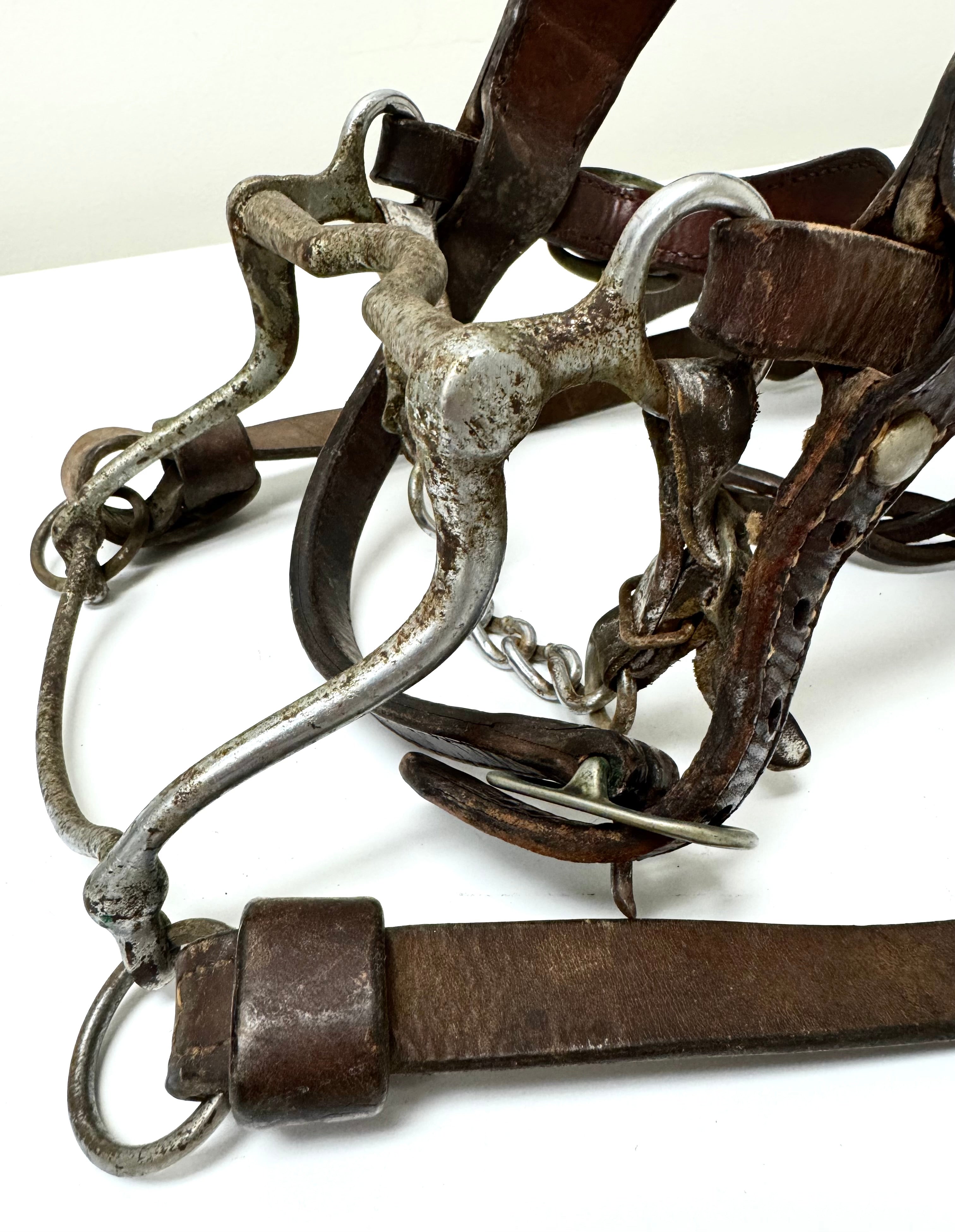 Vintage Complete Western Brown Leather Bridle & Reins